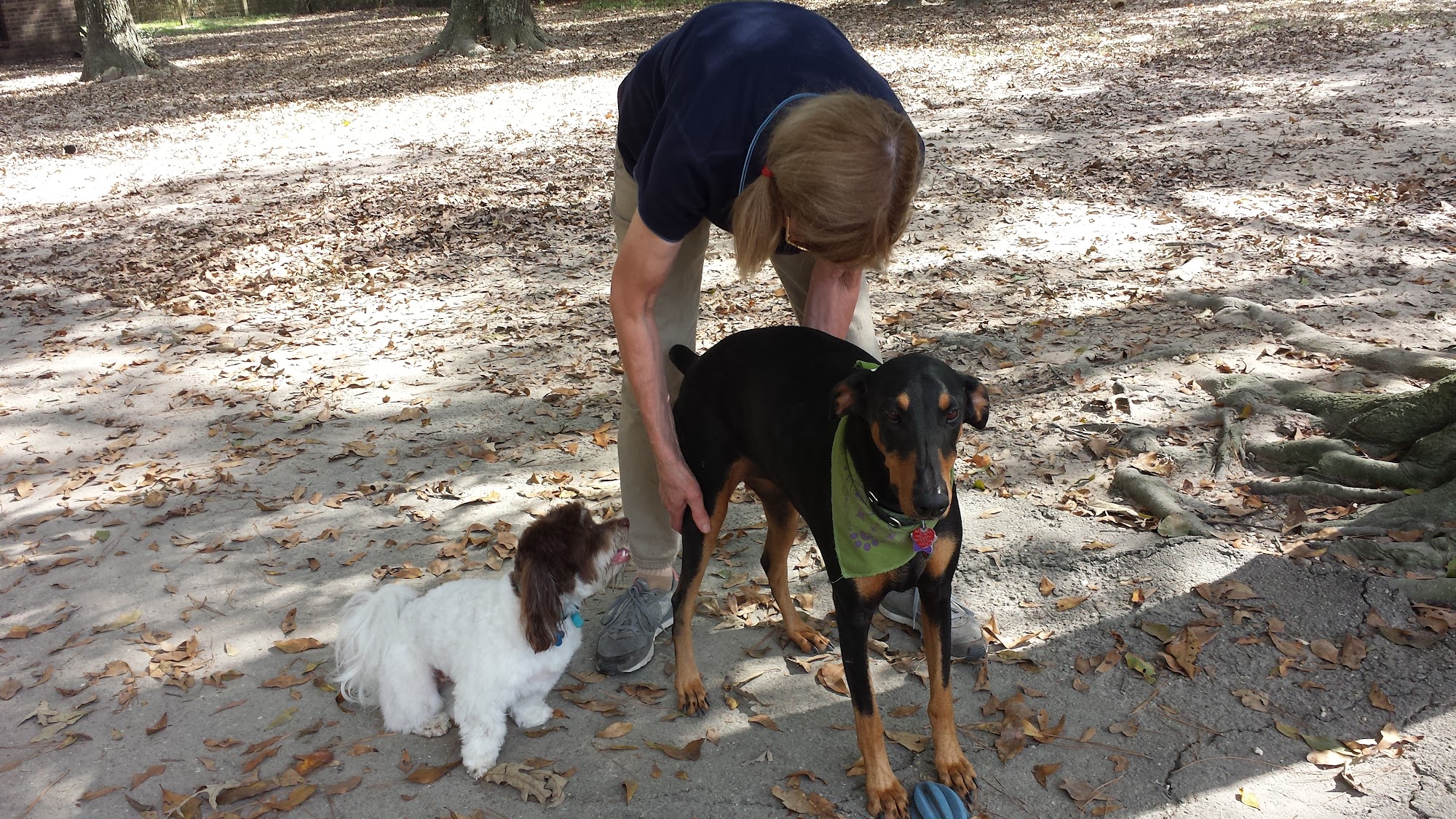 Barkingham Palace Lacombe