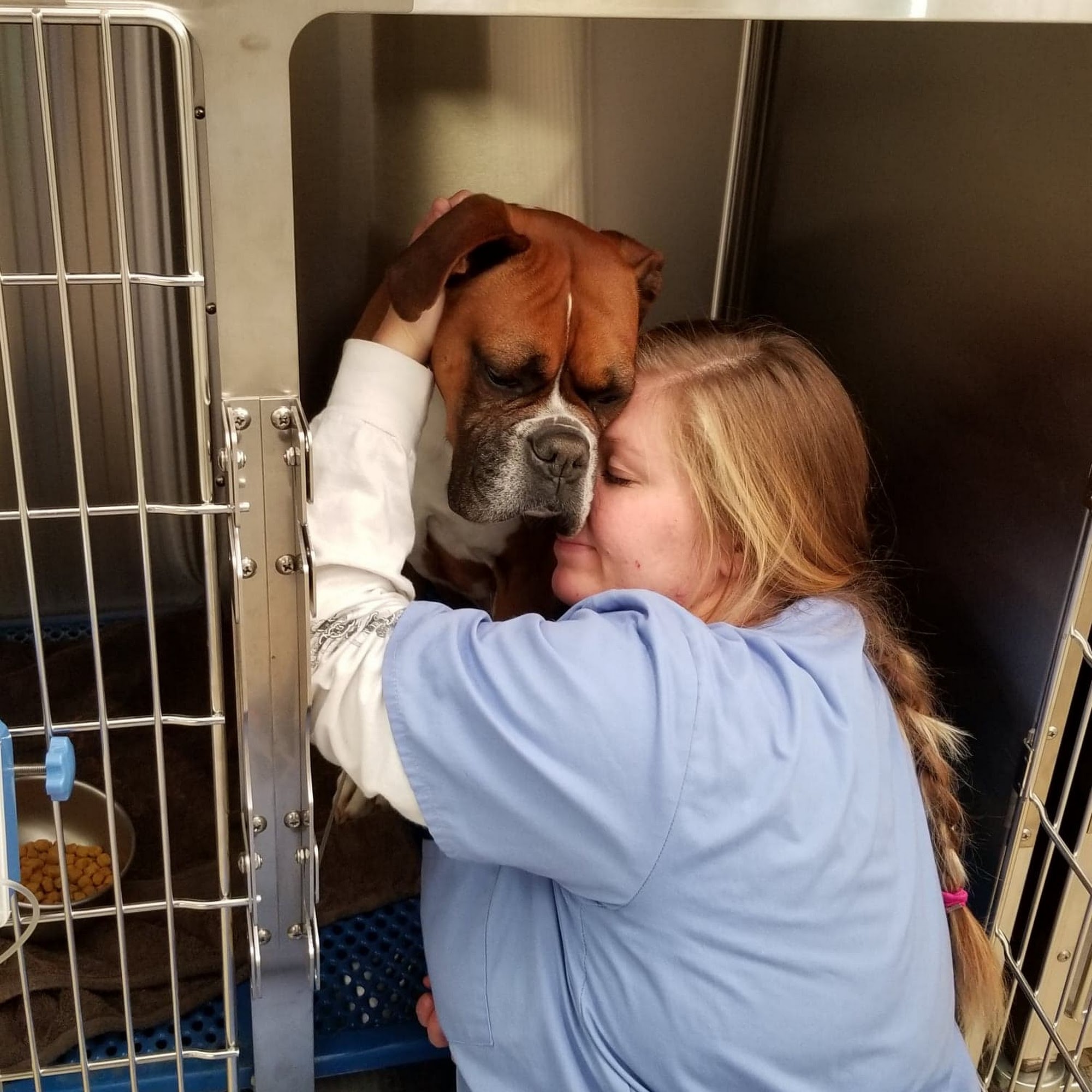 Congress Animal Hospital Lafayette