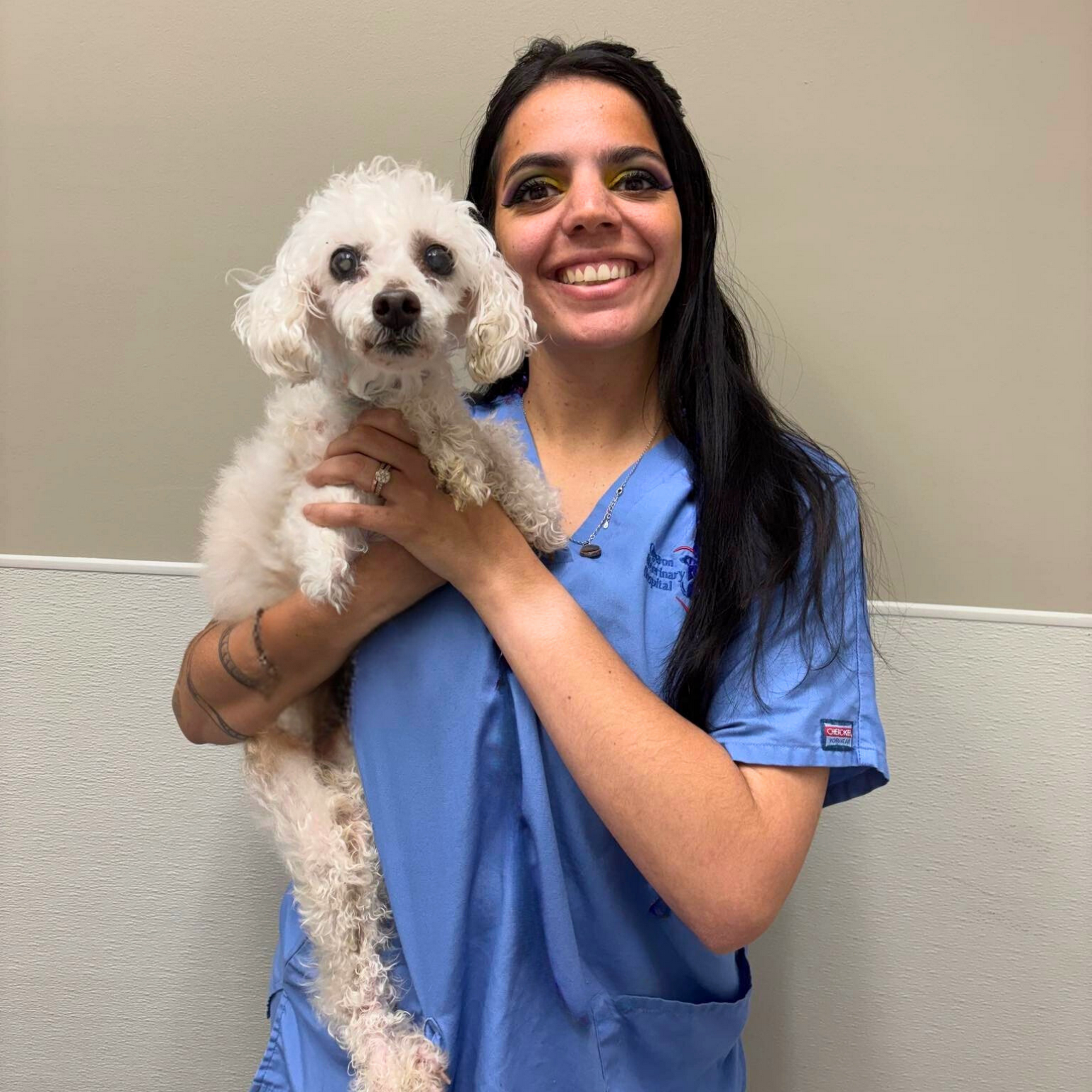 Orgeron Veterinary Hospital Lafayette