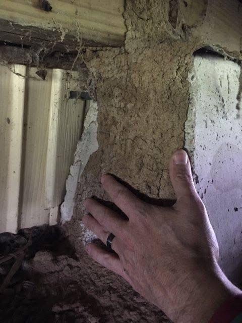 SafeZone Pest Services