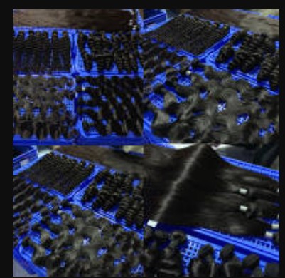 Glamour House Custom Boutique Lafayette