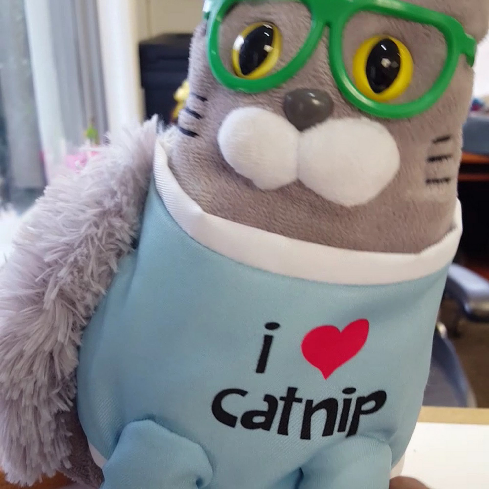 Downtown Animal Hospital Lake Charles