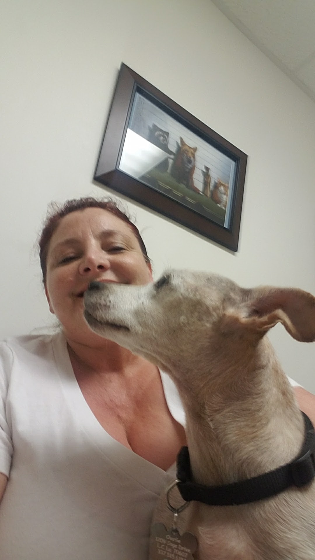 Lake Area Animal Hospital: Stark Joe DVM Lake Charles