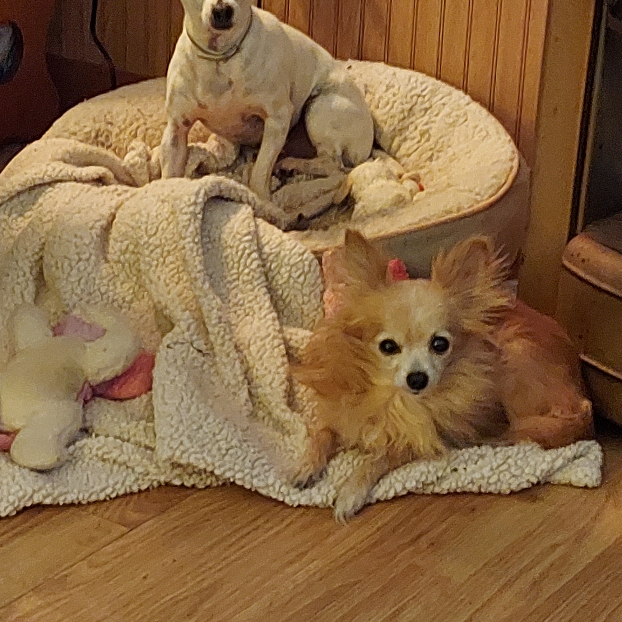 Bieber Animal Hospital Lake Charles