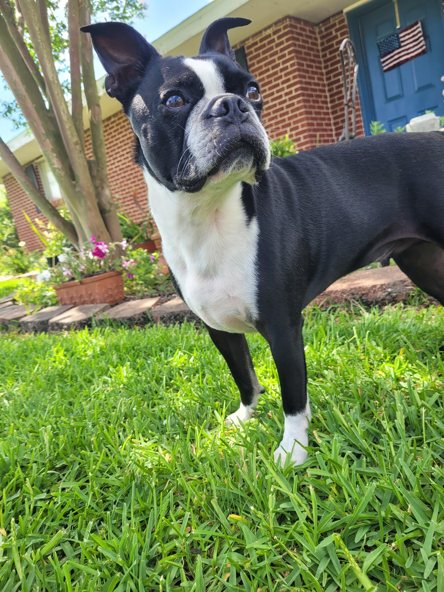 Best Friends Animal Clinic Lake Charles