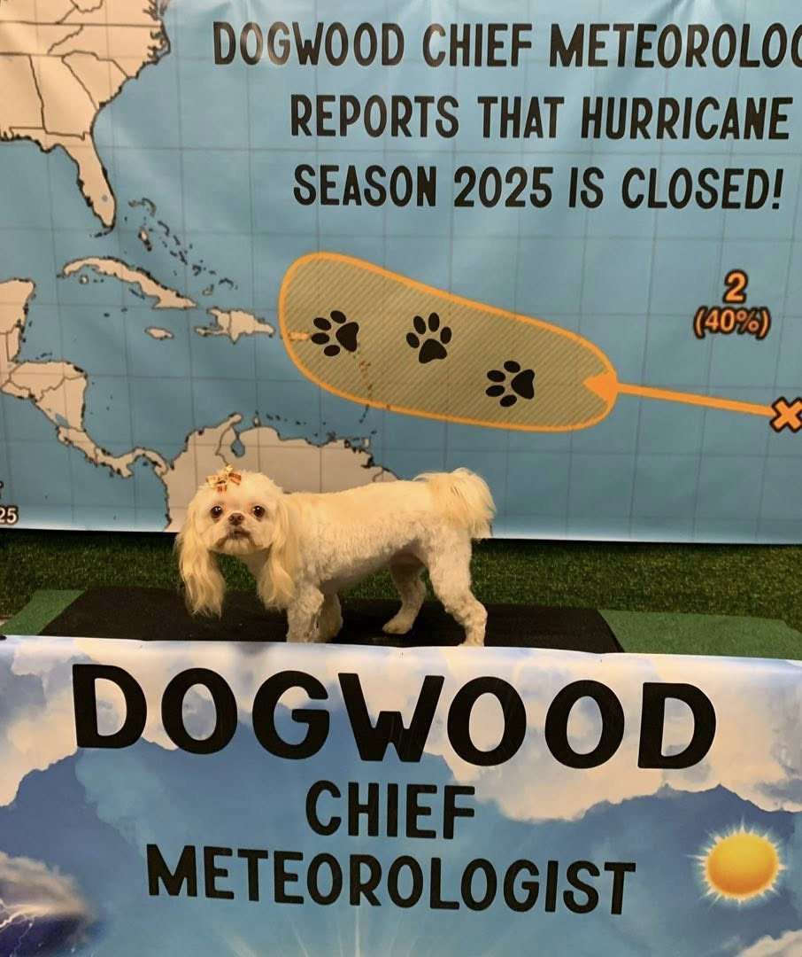 Dogwood Paw Spa and Resort Lake Charles