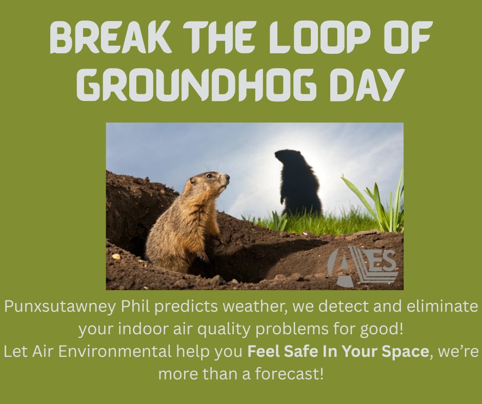 Air Environmental Services