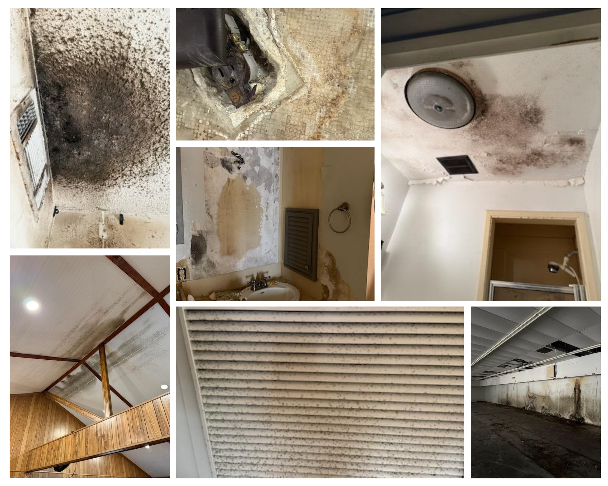 Air Environmental Services