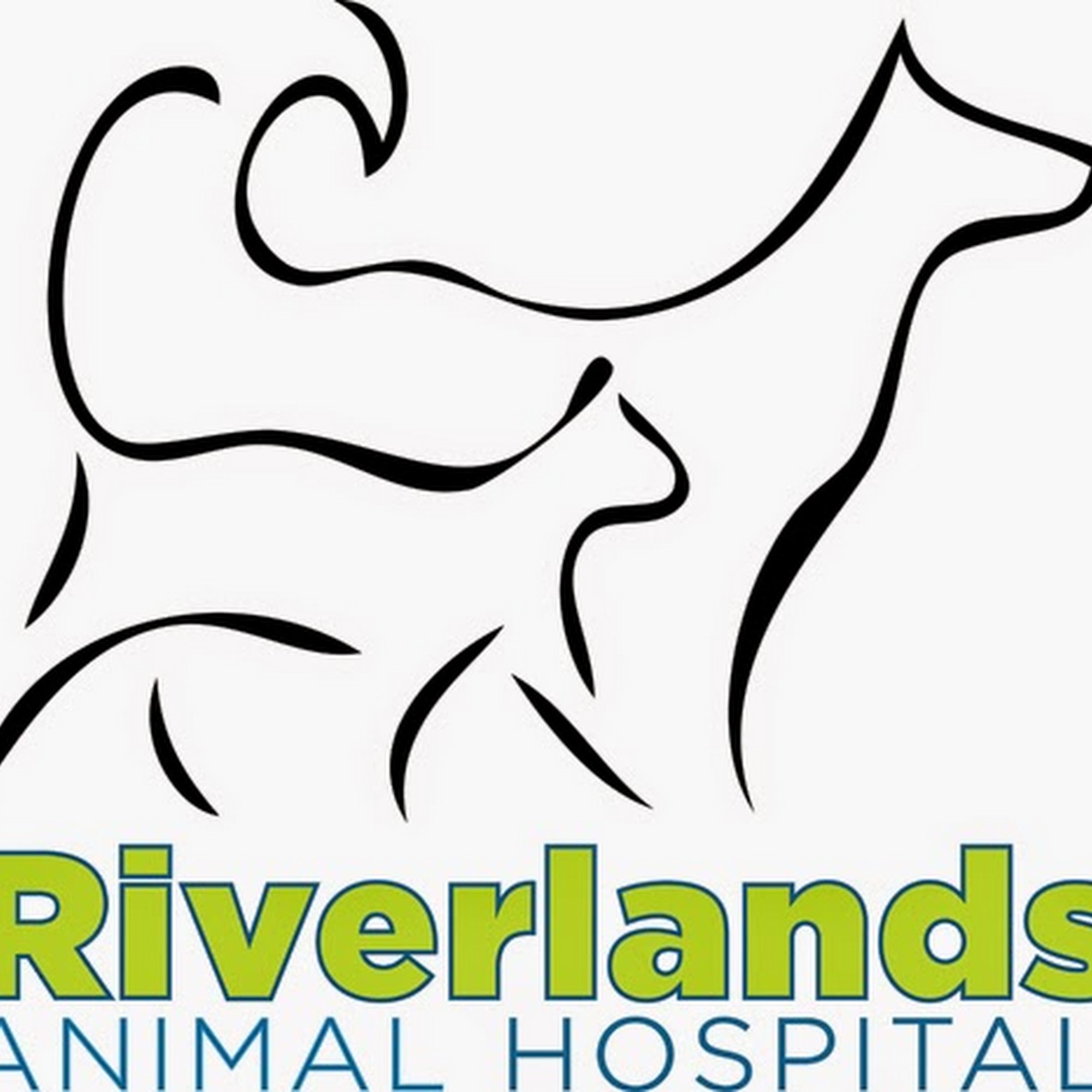 Riverlands Animal Hospital: Troxler Jena DVM Laplace