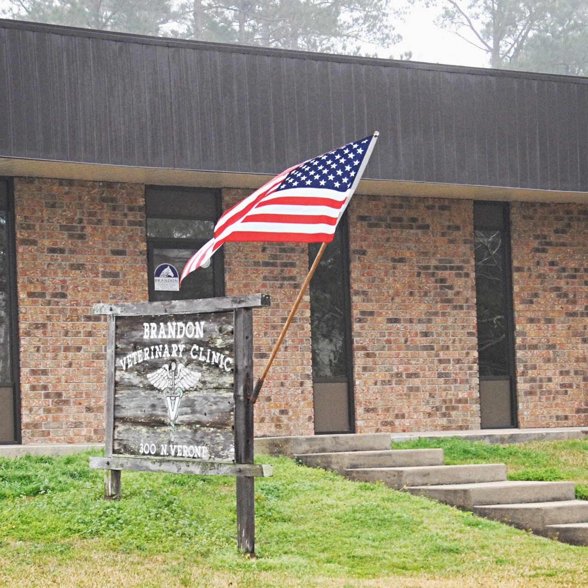 Brandon Veterinary Clinic Leesville