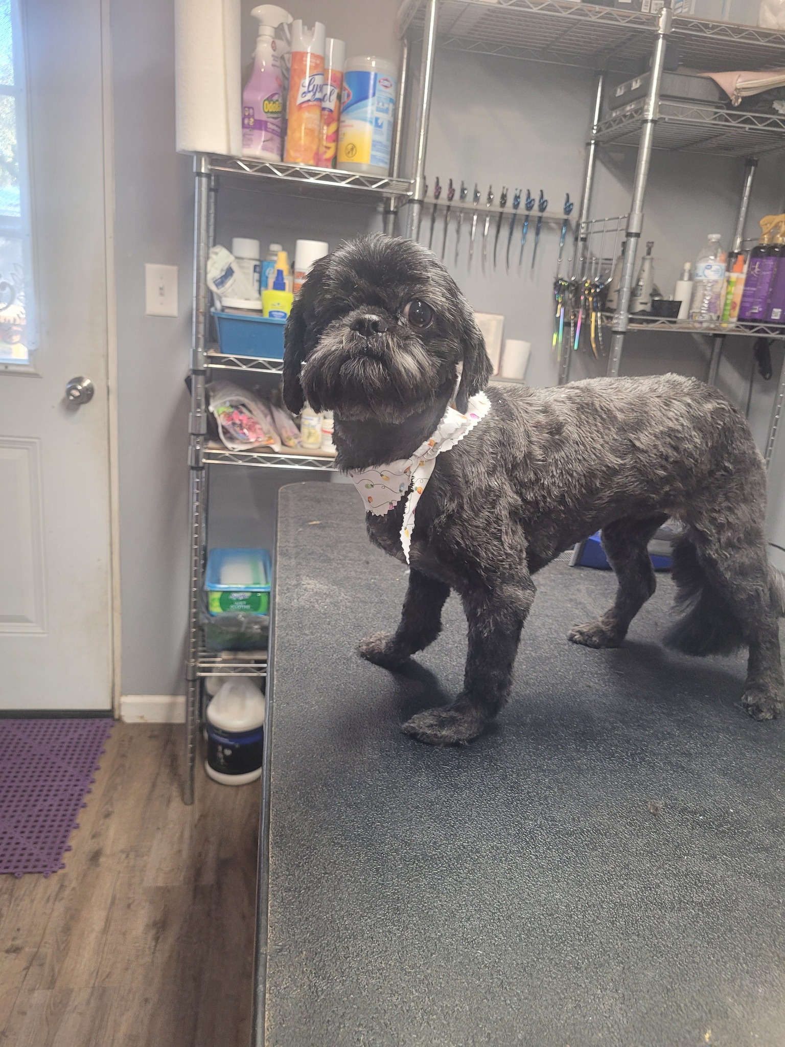 Groomingdales Leesville
