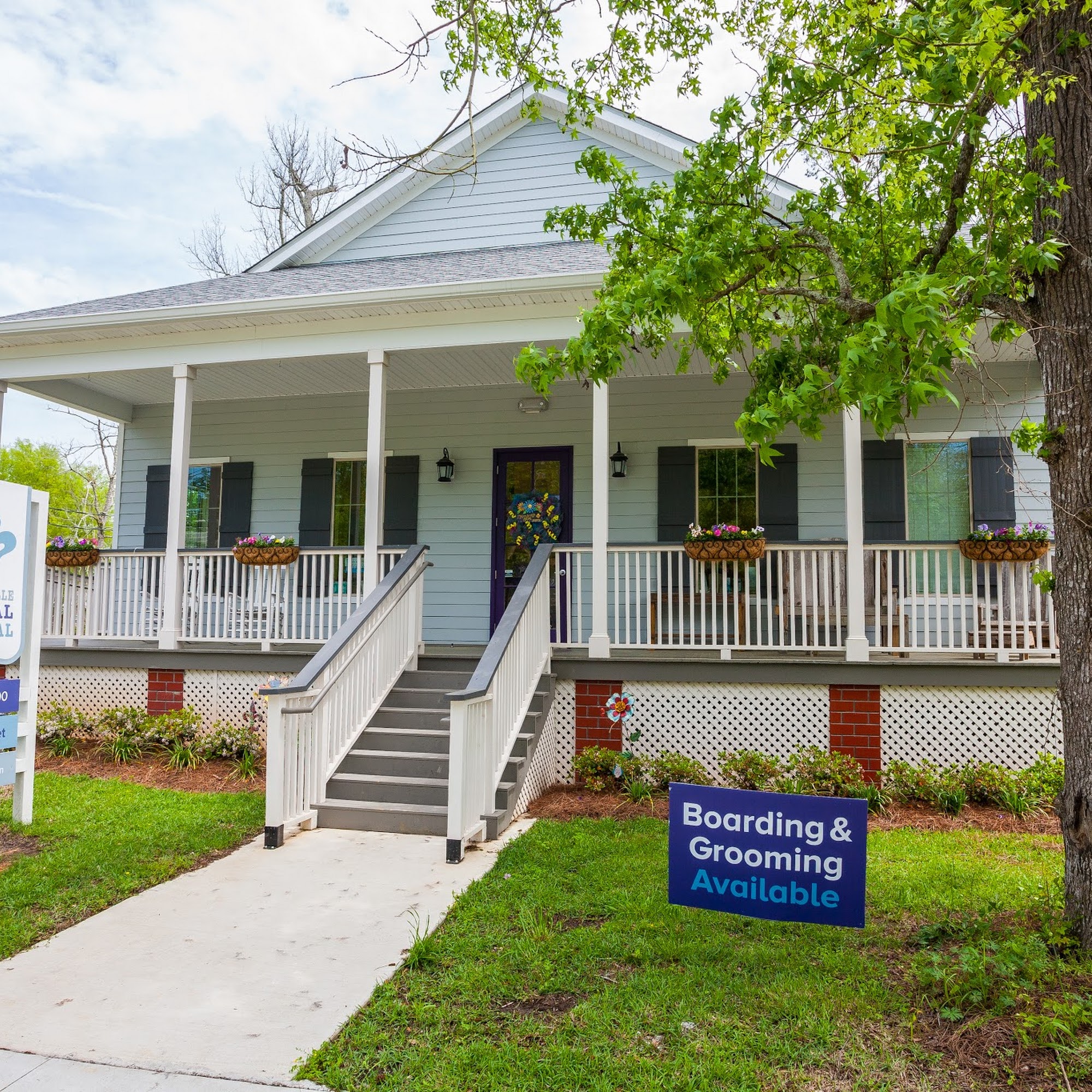 Mandeville Animal Hospital Mandeville