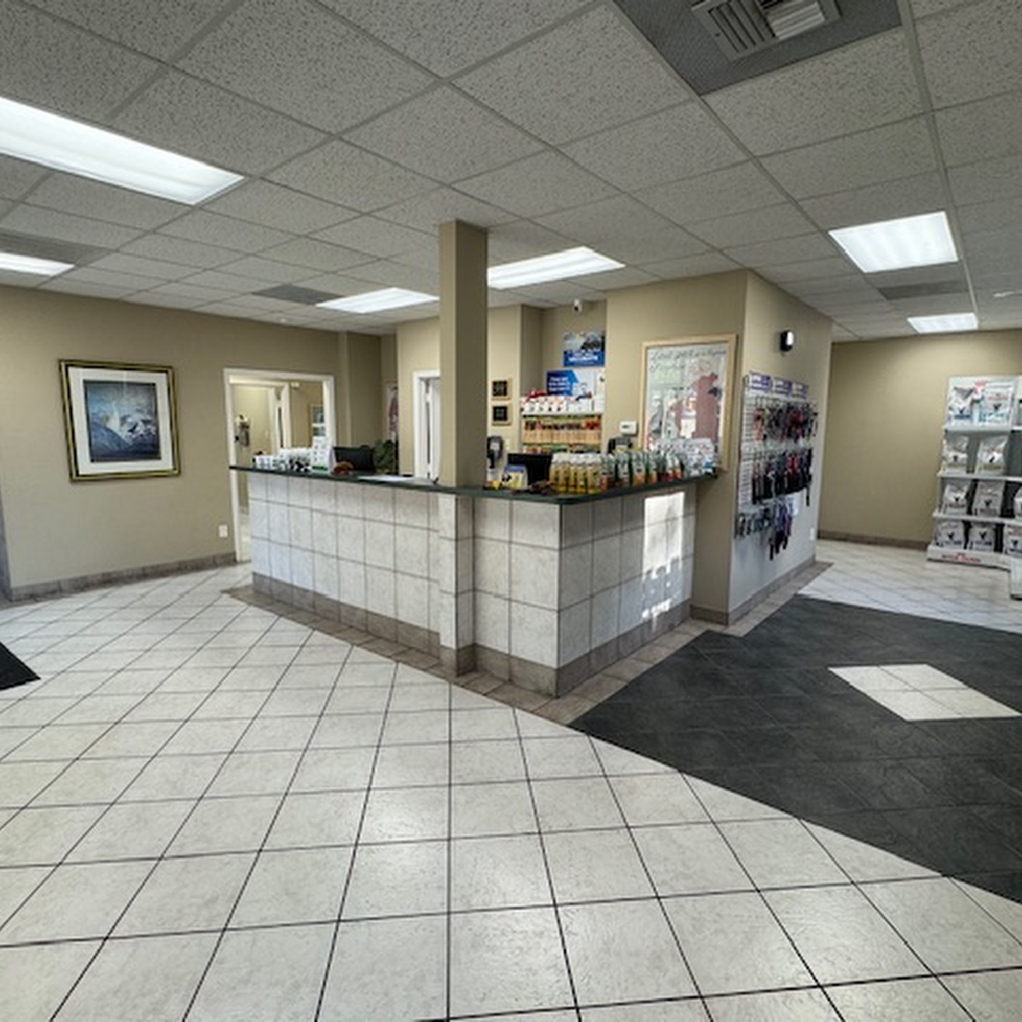 Lakewood Veterinary Hospital Mandeville