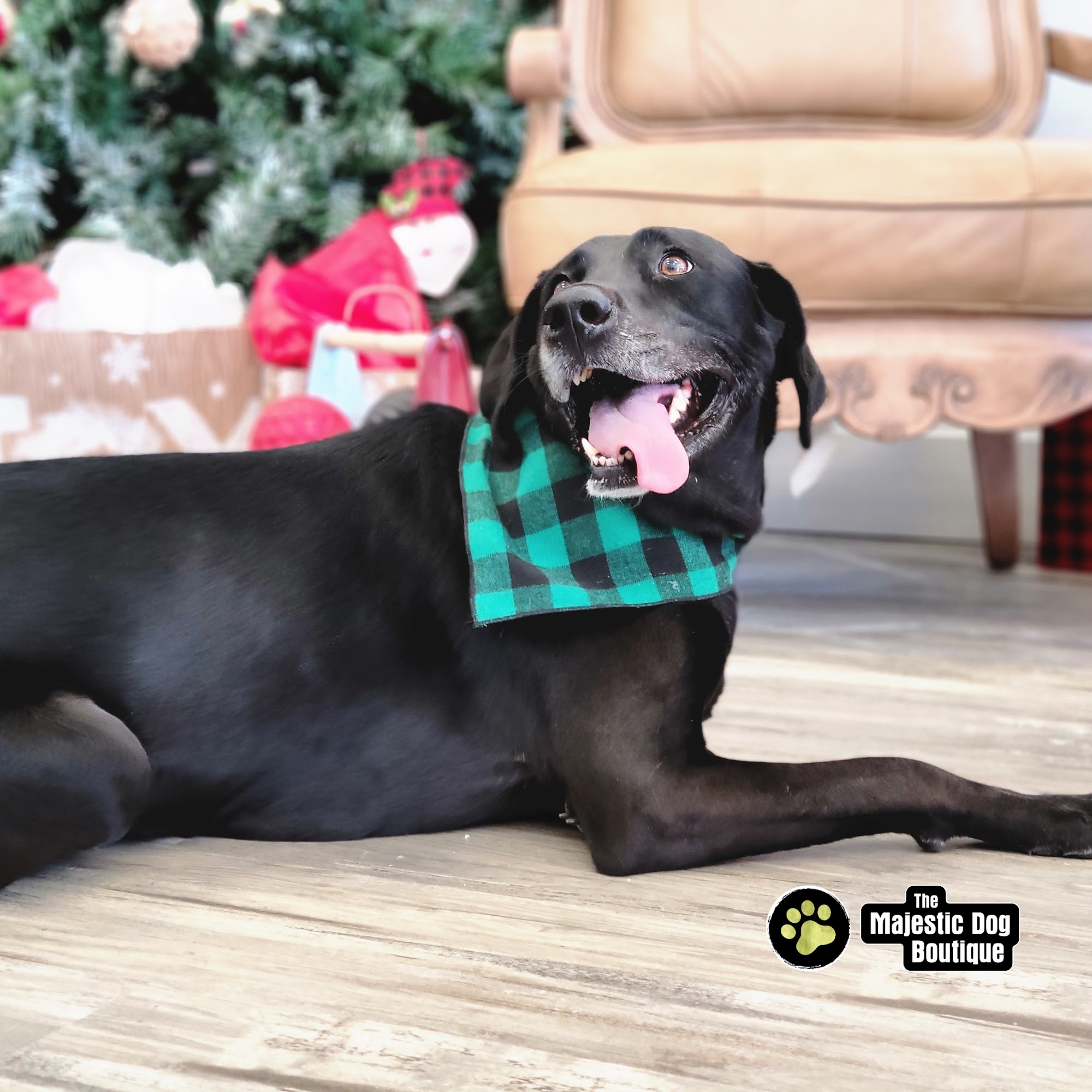 The Majestic Dog Boutique Mandeville