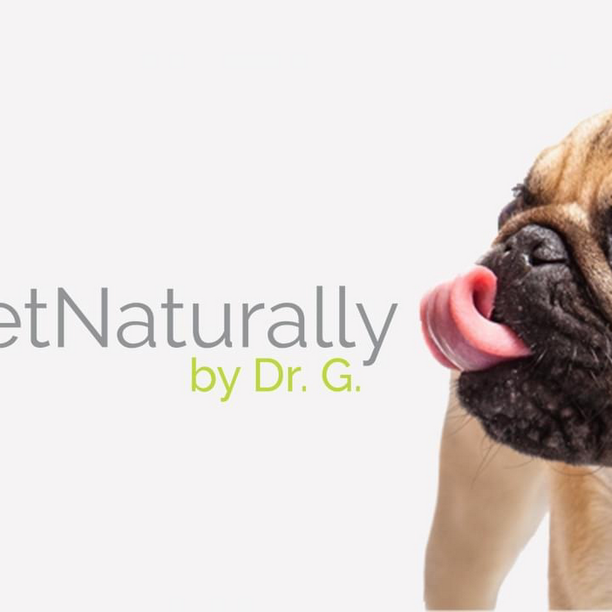 VetNaturally Animal Hospital Mandeville