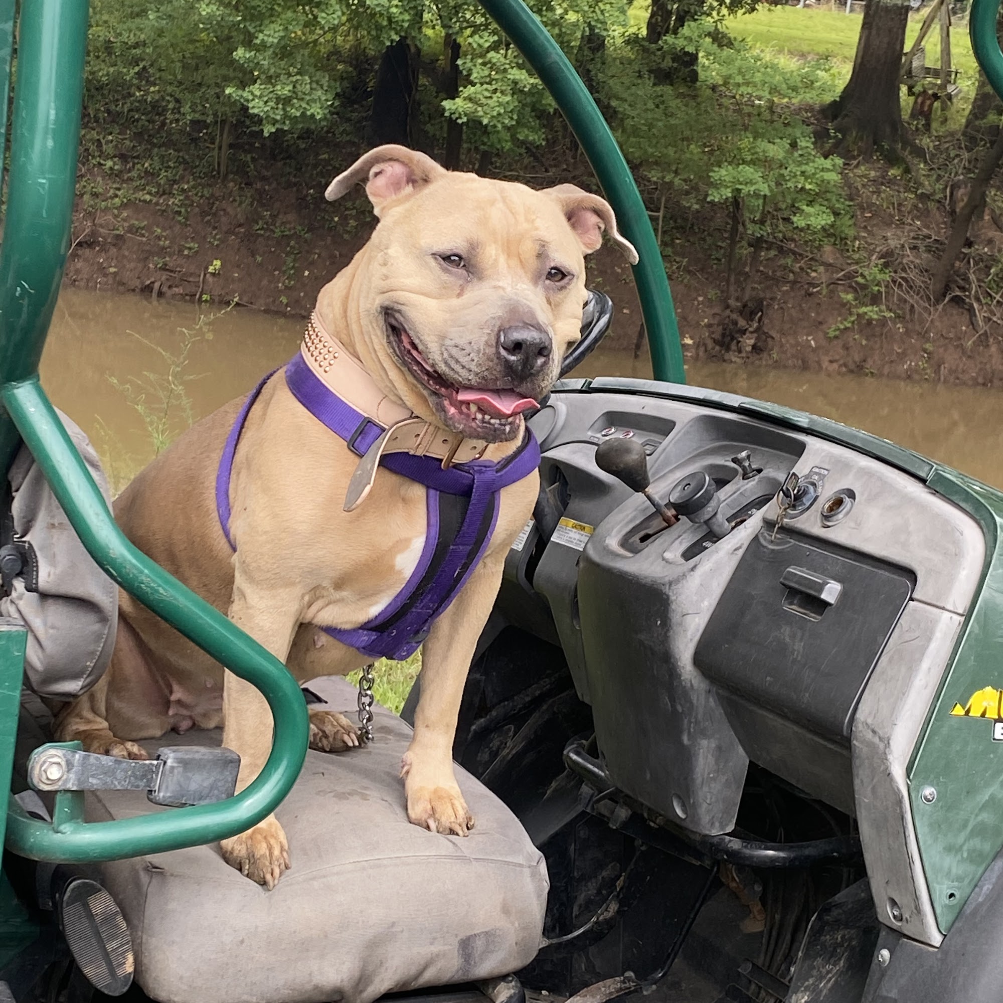 Southshore Animal Hospital at Frenchman's Creek Metairie