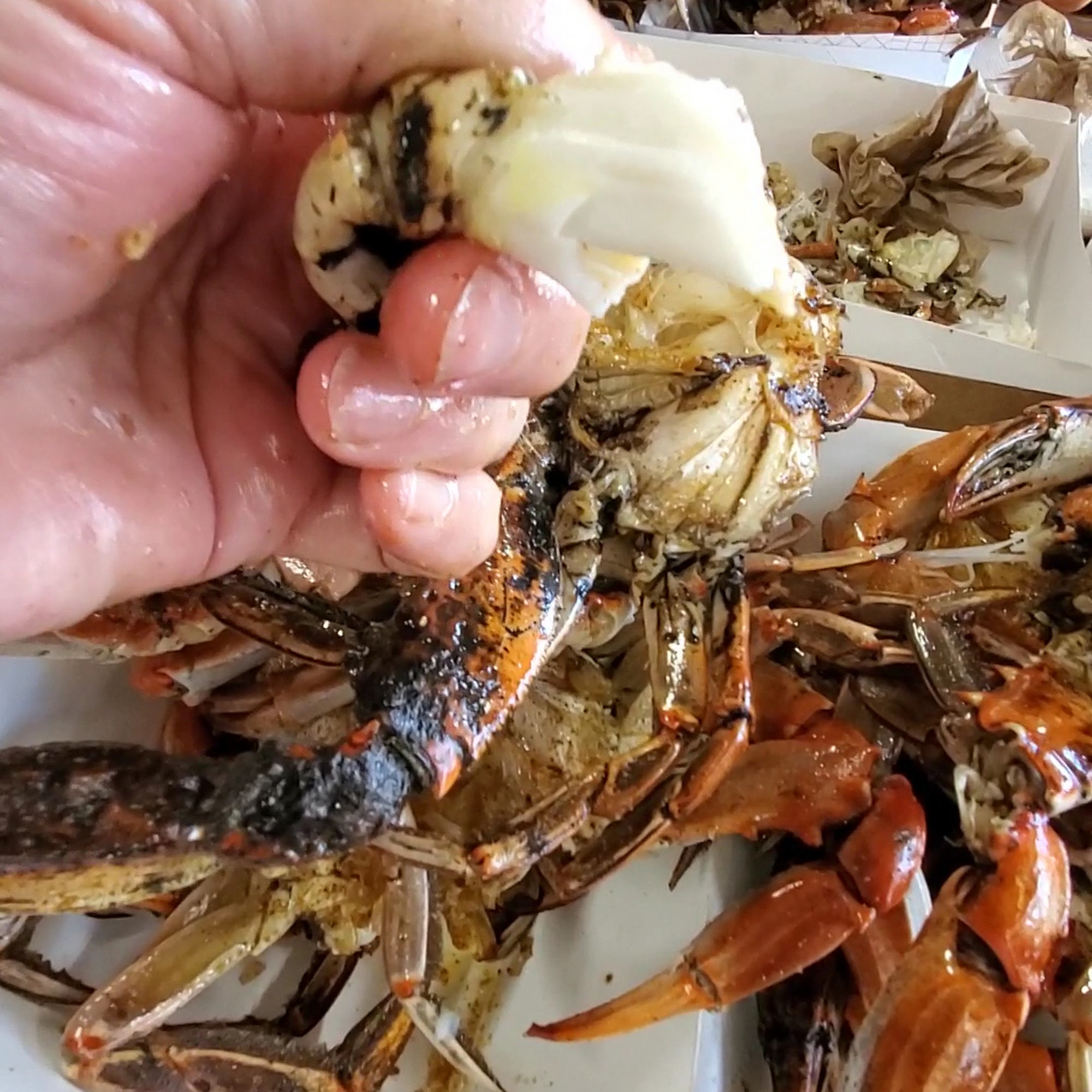 Cormier's Cajun Catering Monroe