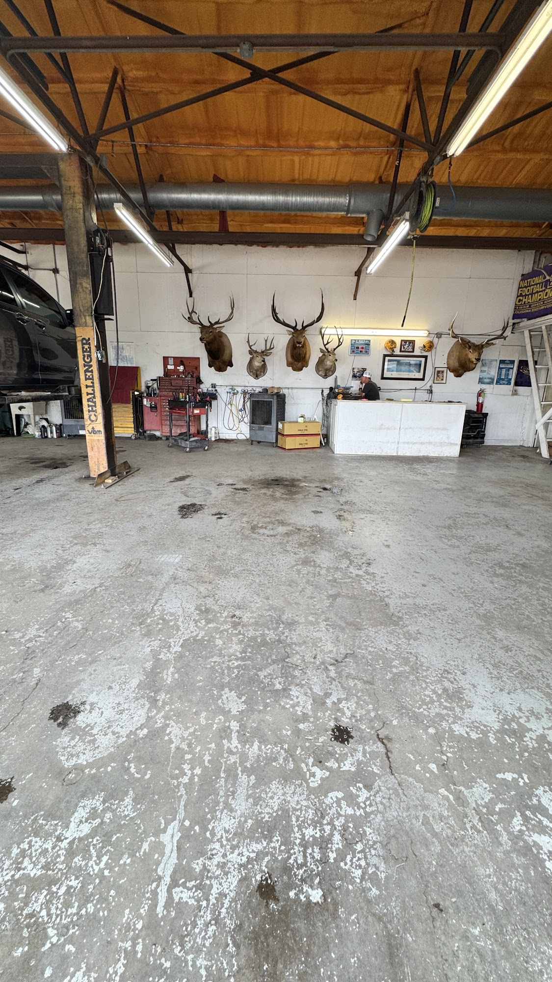 Japanese Automotive/Monroe Monroe