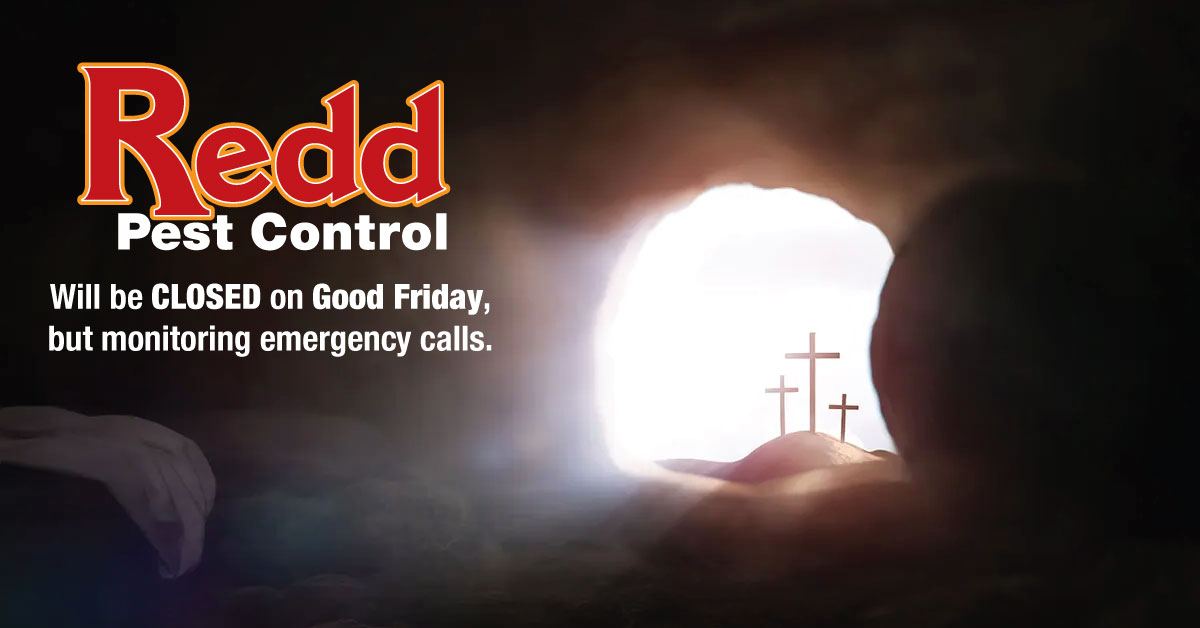 Redd Pest Control