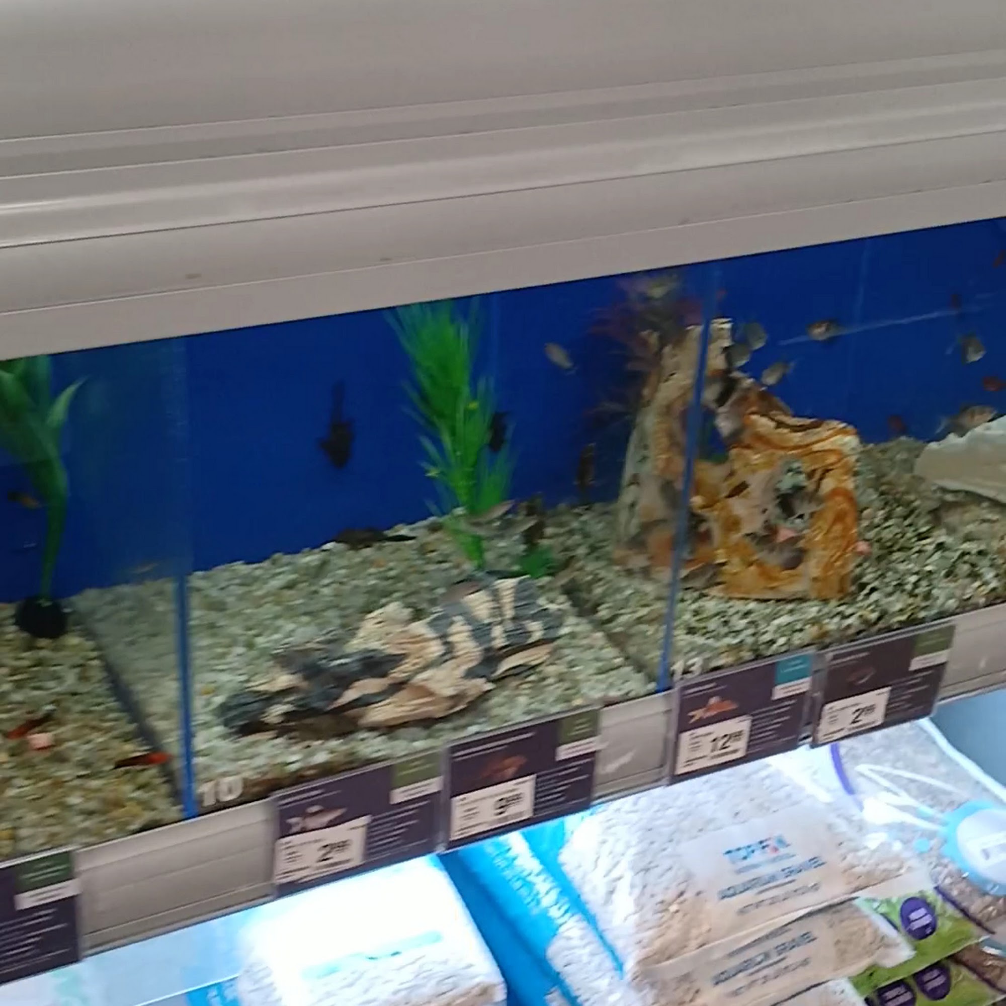 PetSmart New Iberia