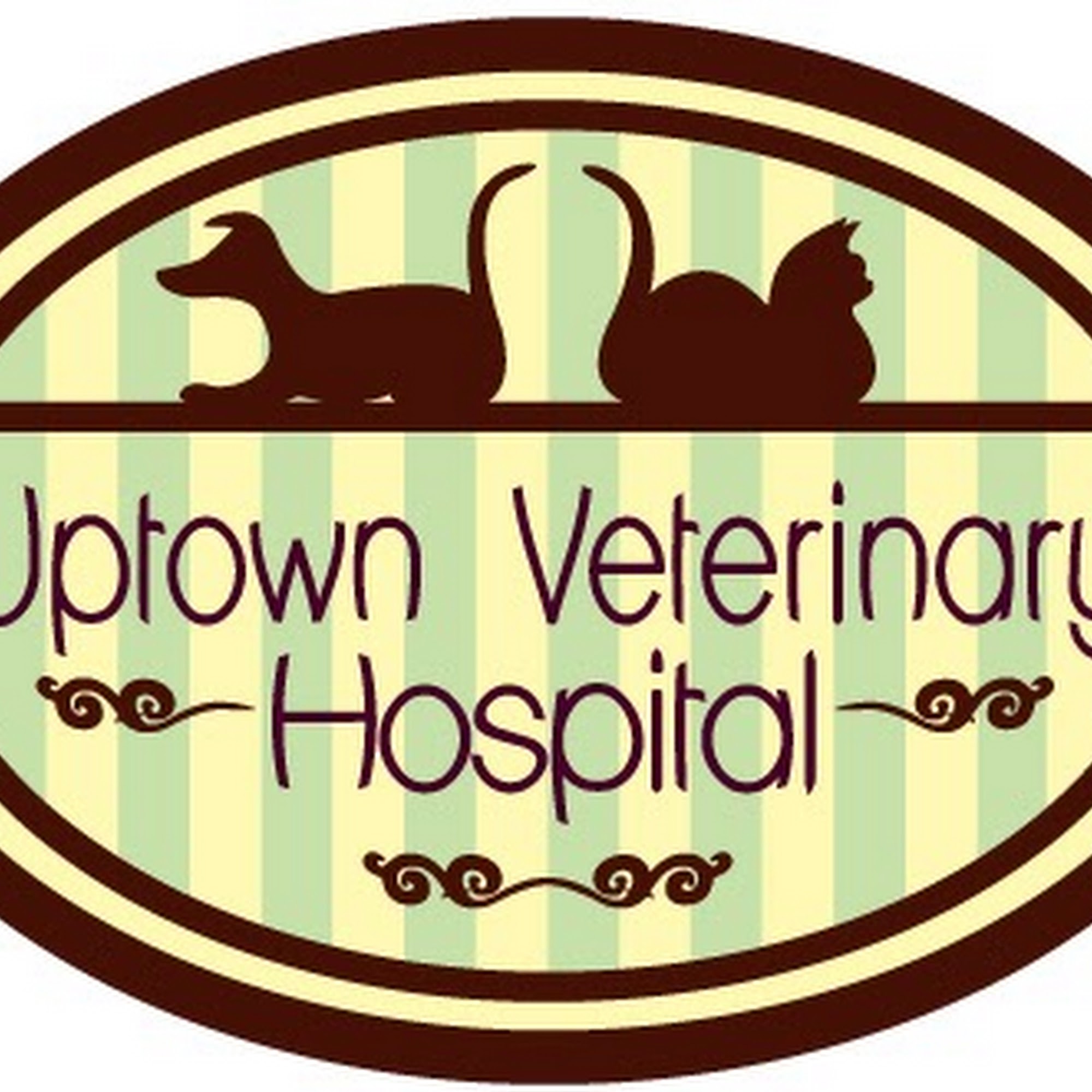 Uptown Veterinary Hospital New Orleans