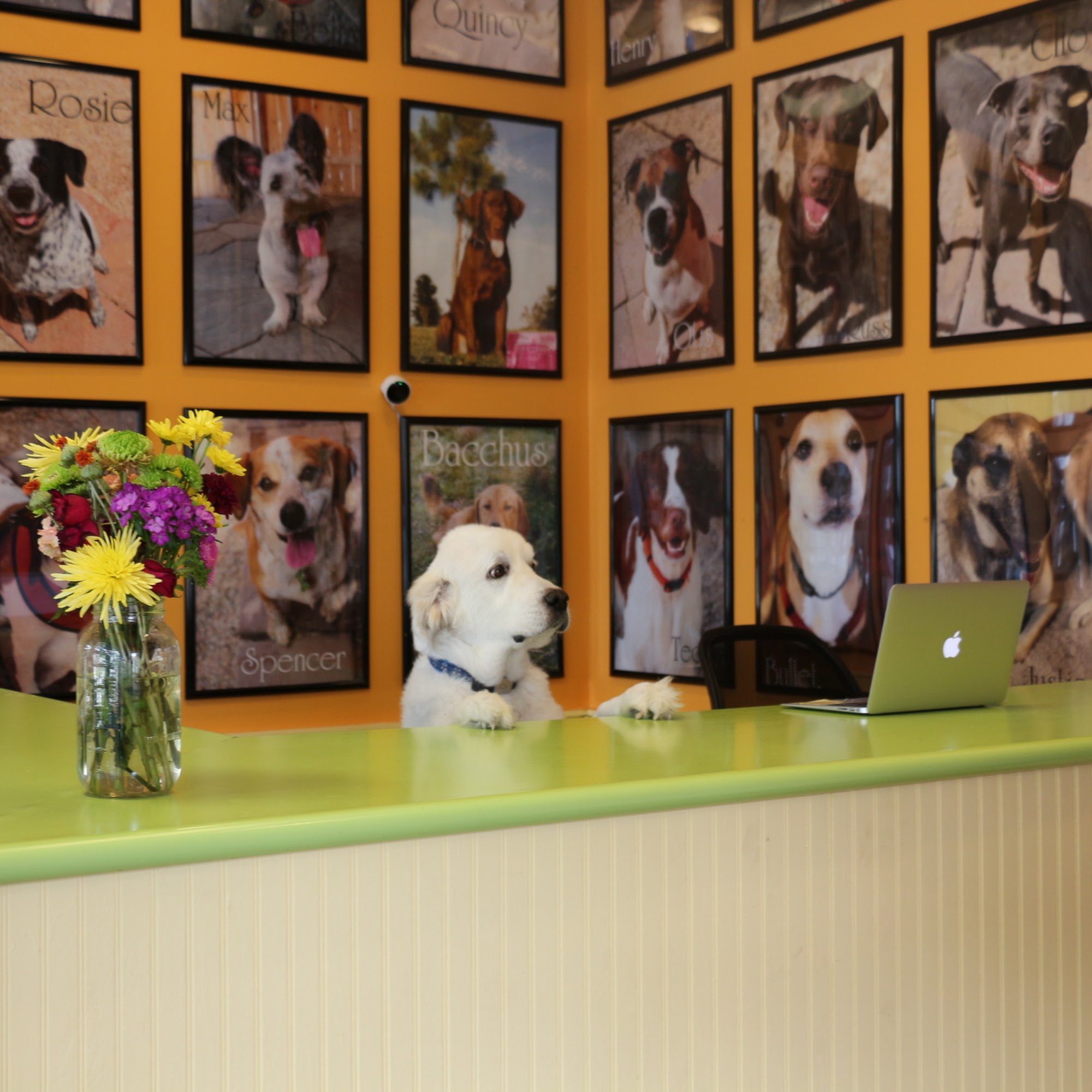 Zeus' Place New Orleans