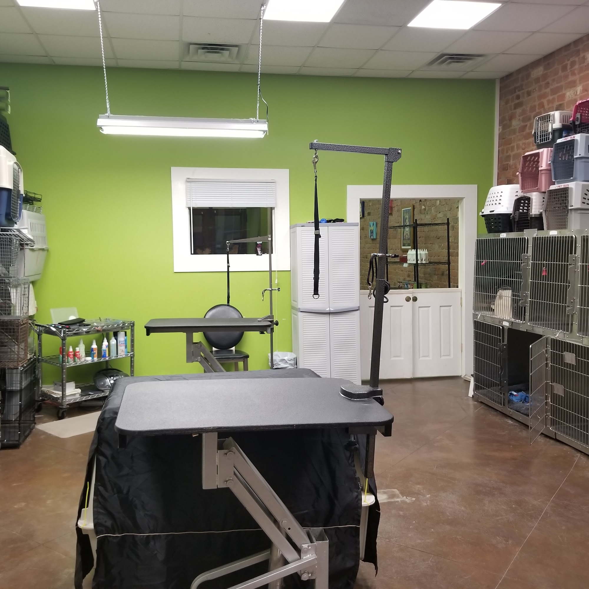 Grooming By Lesa New Orleans