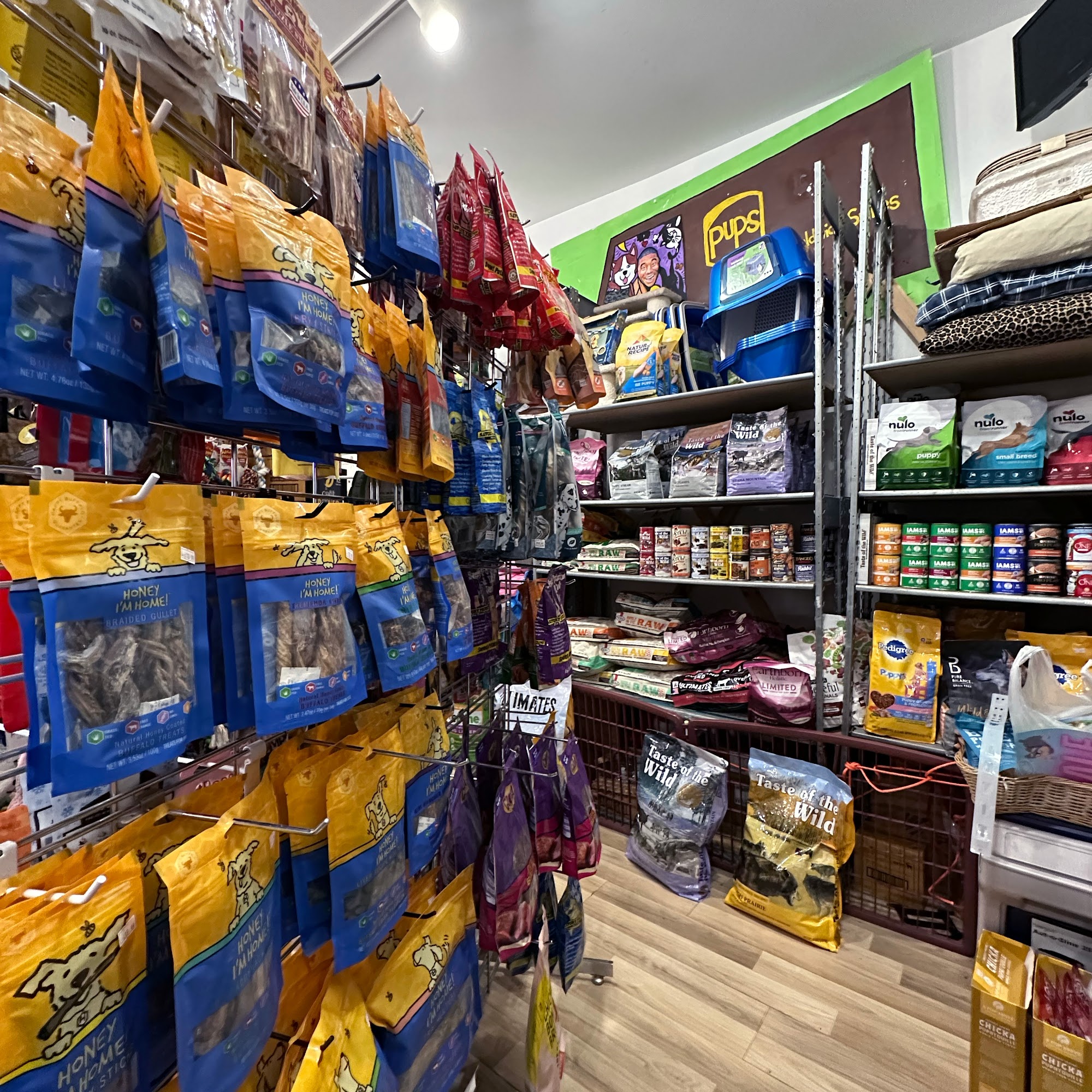 Big Easy Pet Shop & Rescue Too New Orleans