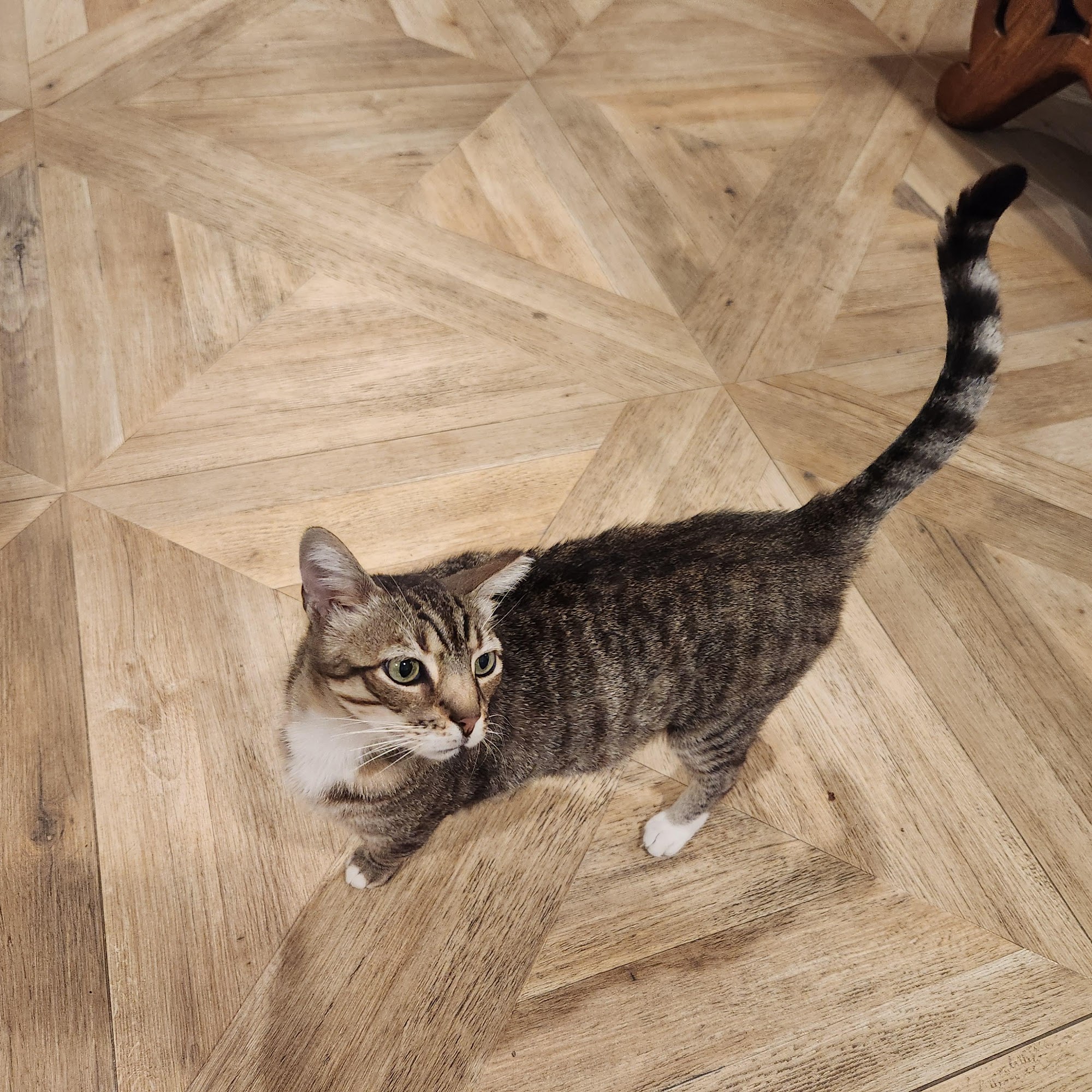 Homeward Bound Services New Orleans