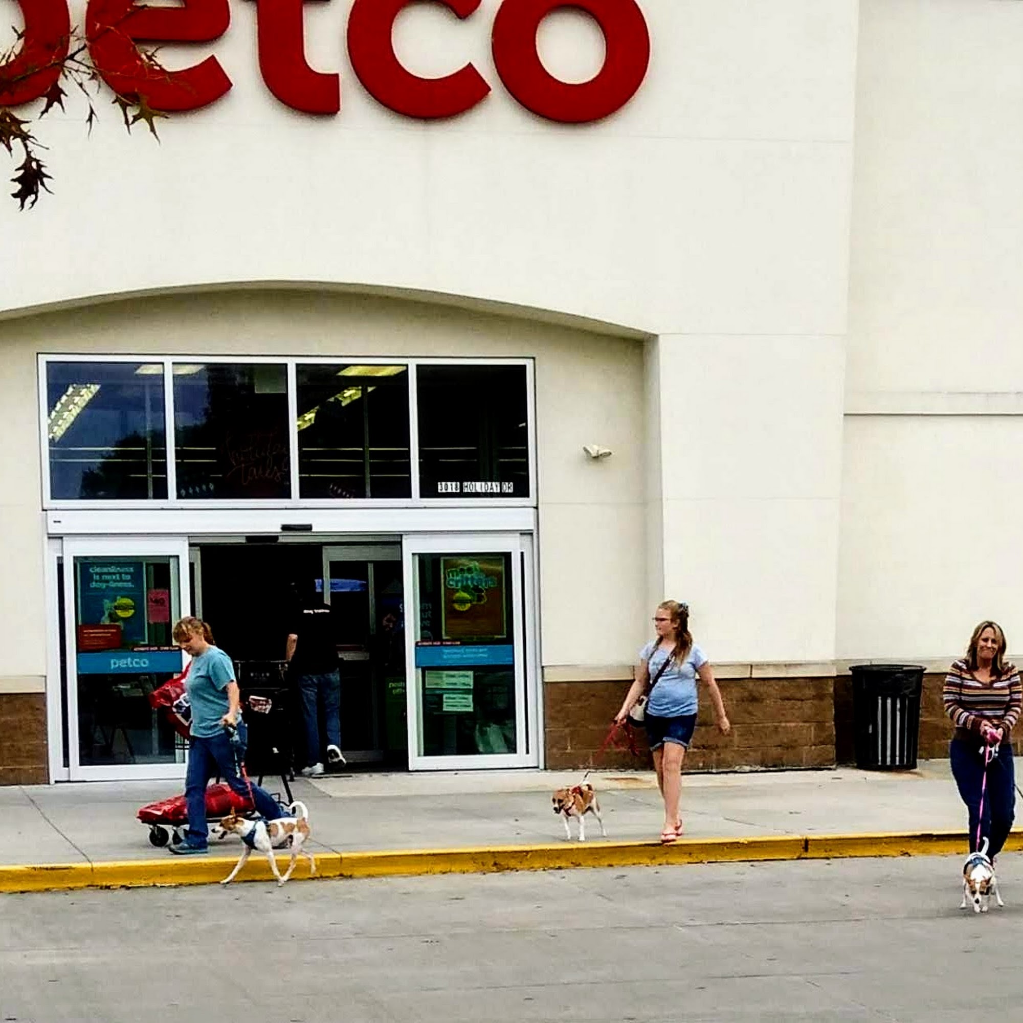 Petco New Orleans