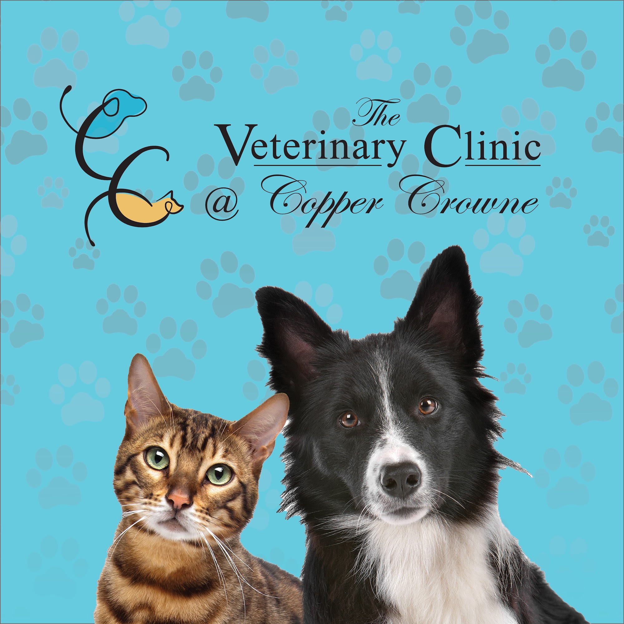The Veterinary Clinic @ Copper Crowne Opelousas