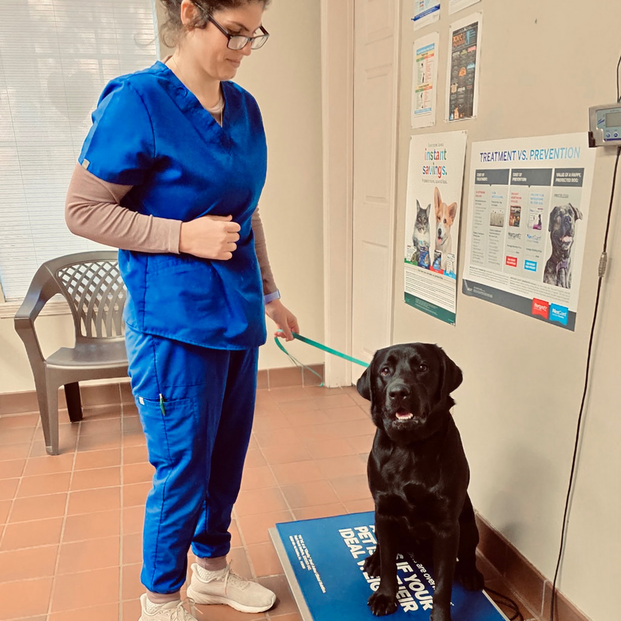 Pearl River Veterinary Hospital Pearl River