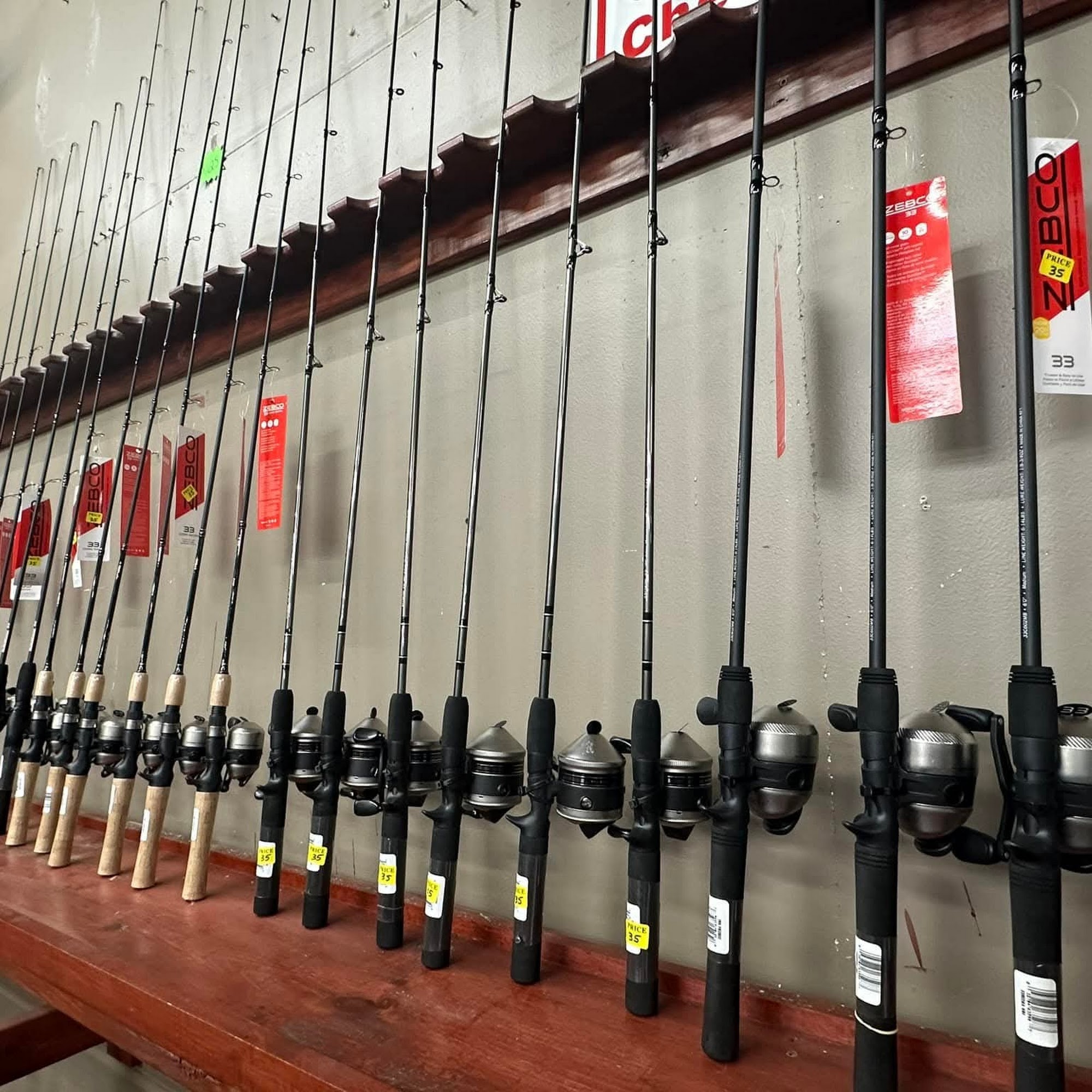 The Crazy Coyote Pine Prairie