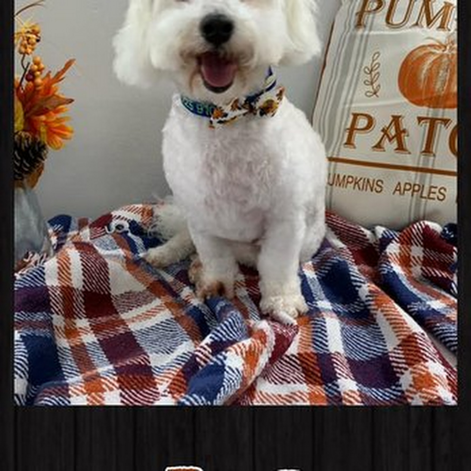 Critter’s Camping and Spa Plaquemine