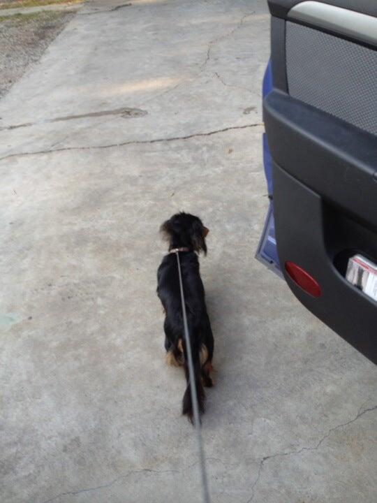 Pet Care Center Ponchatoula