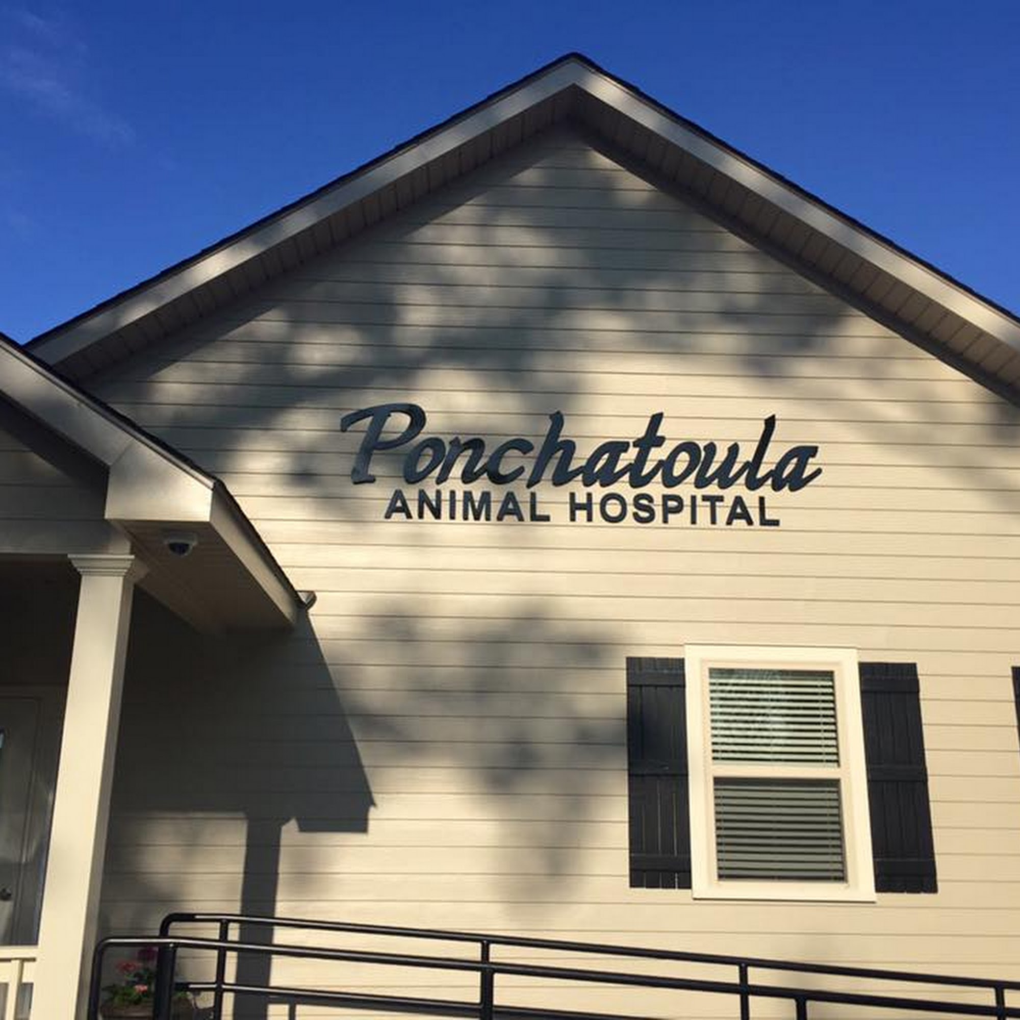 Ponchatoula Animal Hospital Ponchatoula