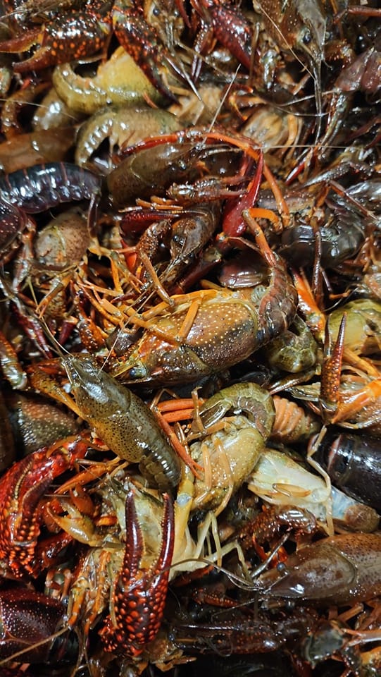Port Allen Seafood