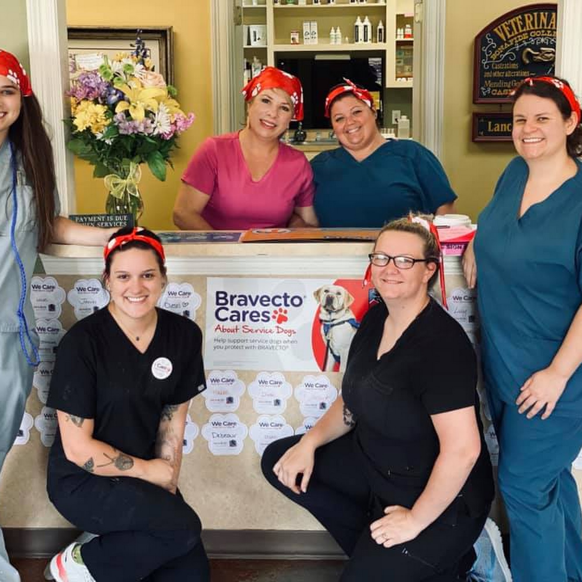 Prairieville Animal Hospital Prairieville