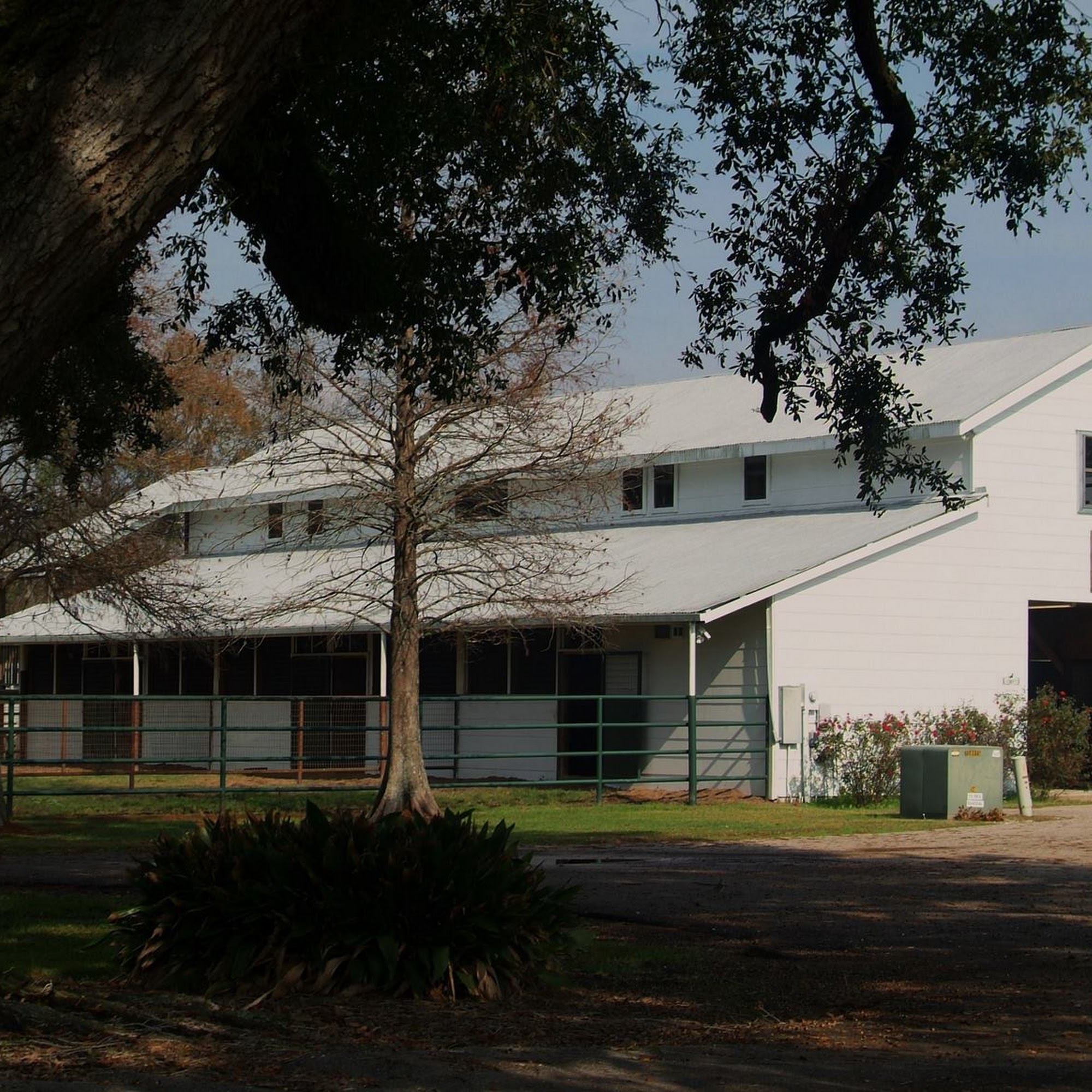 Kleinpeter Equine Veterinary Services Prairieville