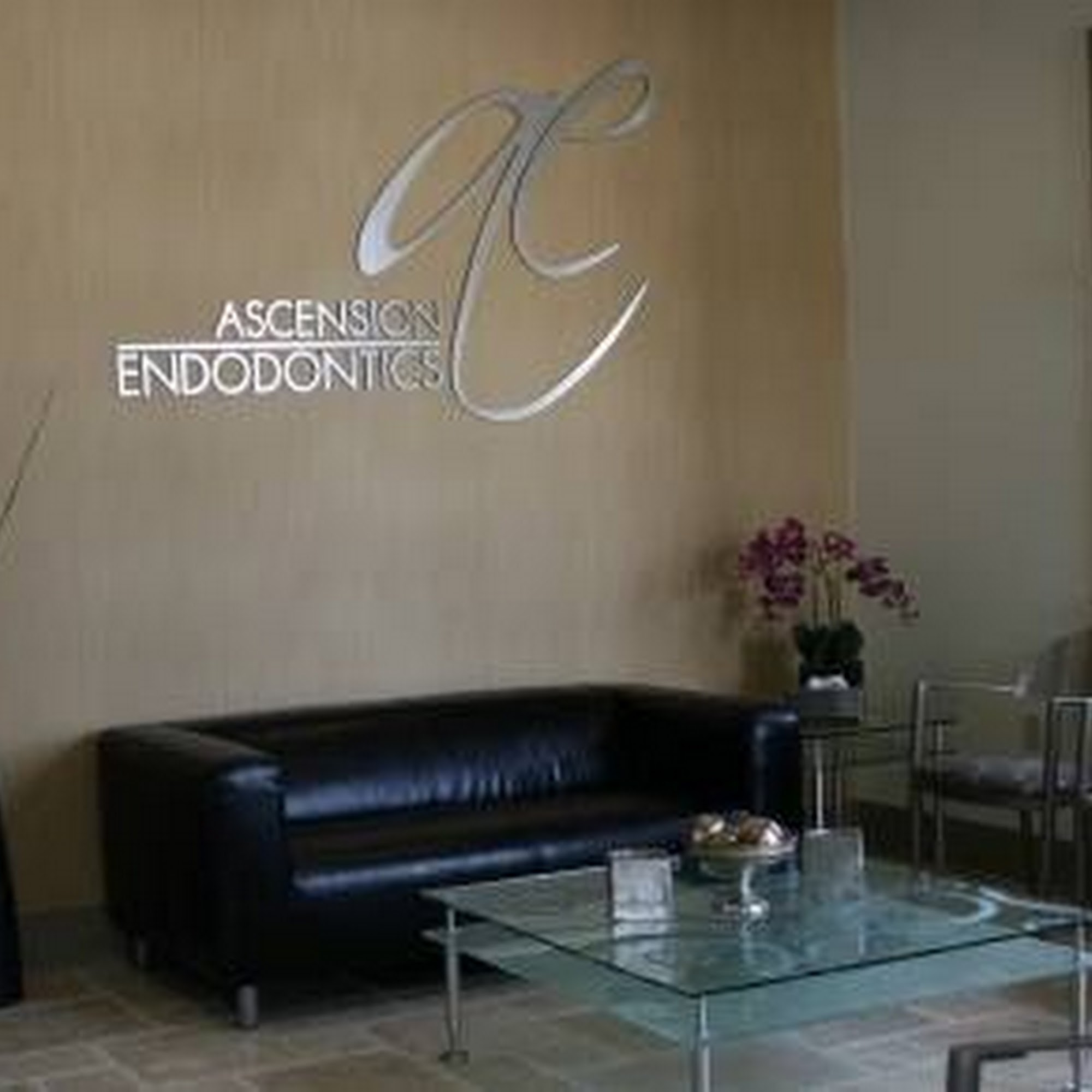 Ascension Endodontics