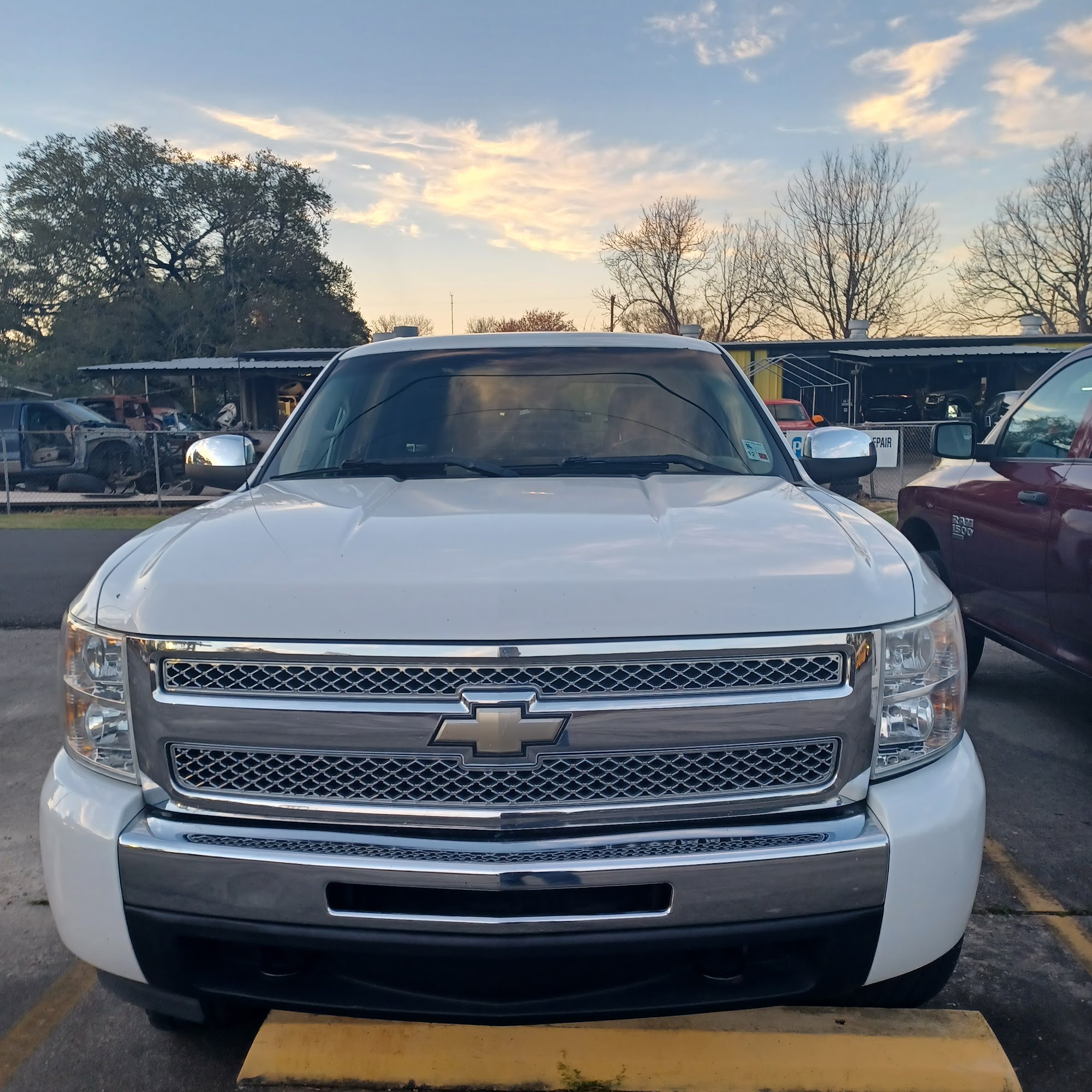 El tigre sd llc Rayne