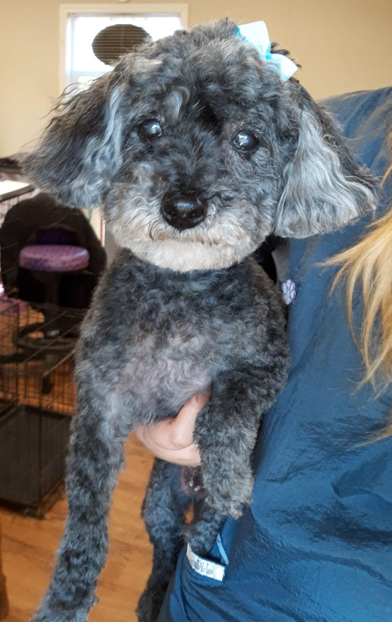 K-9 Creations Ruston