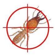 DURR Environmental Services