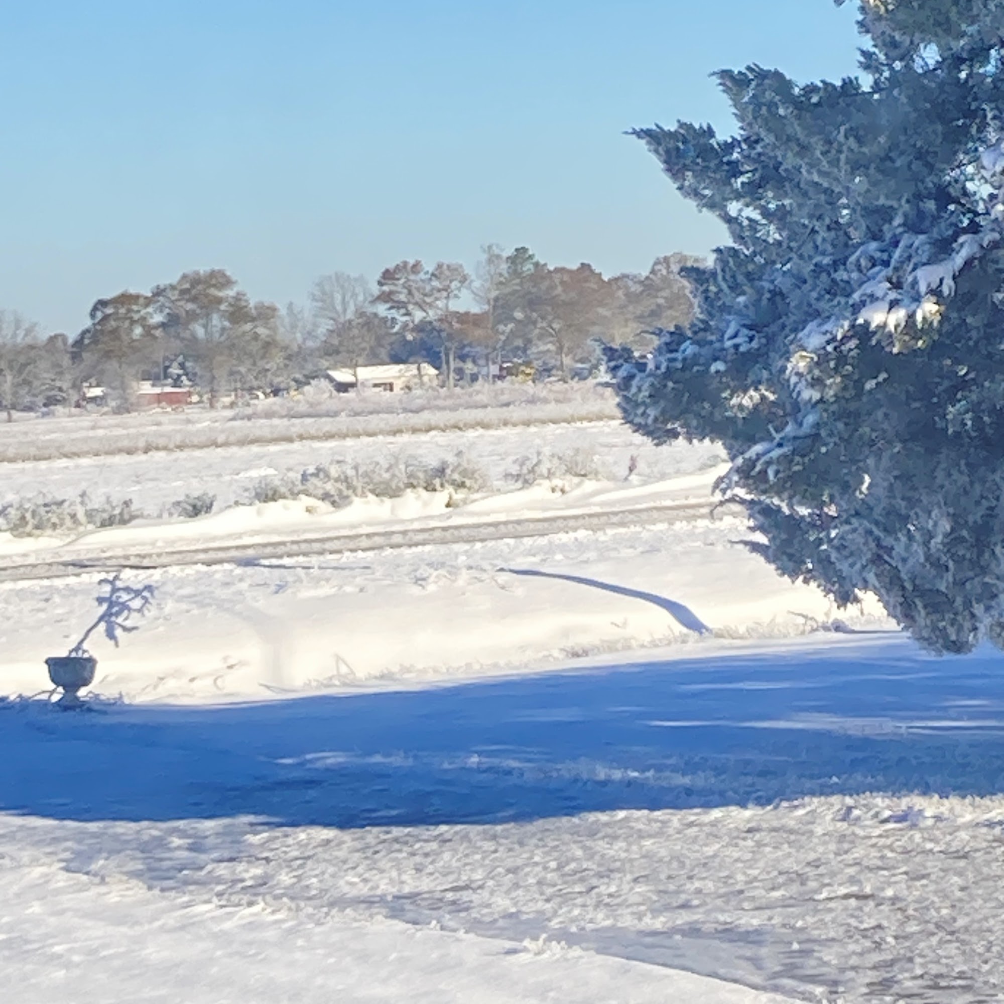 Country Food Store Saint Martinville