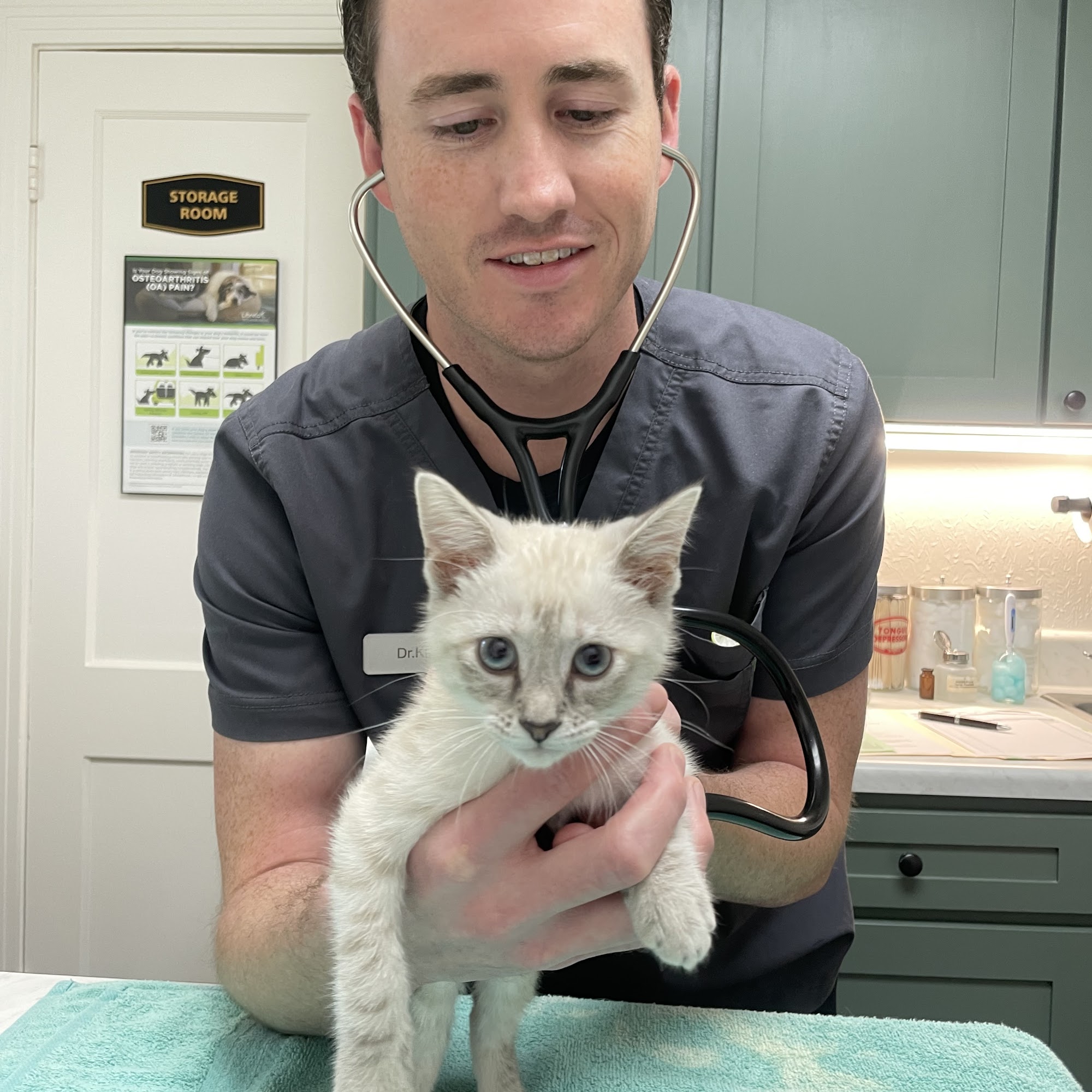 Cornerstone Veterinary Hospital Shreveport