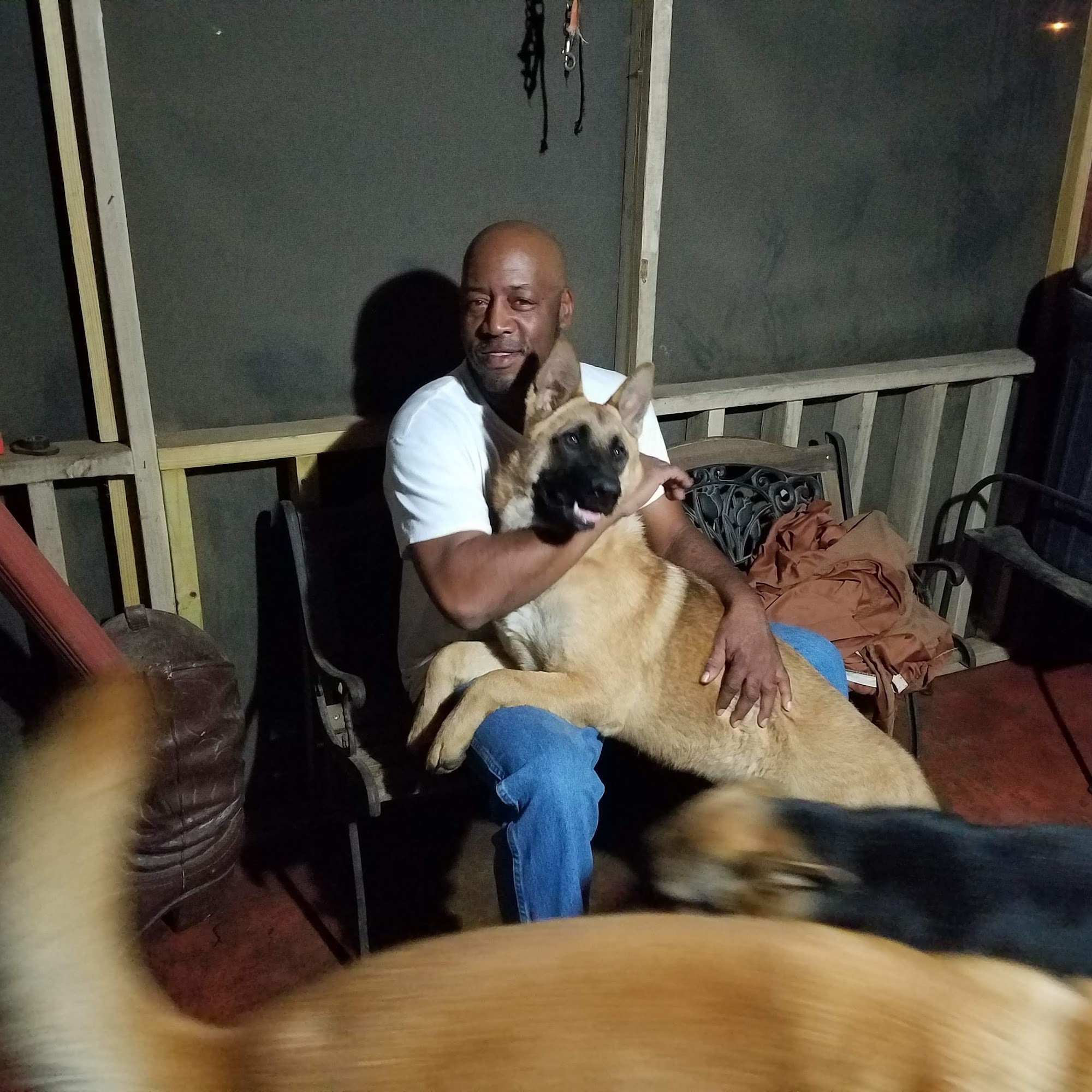 Southside Animal Hospital Shreveport