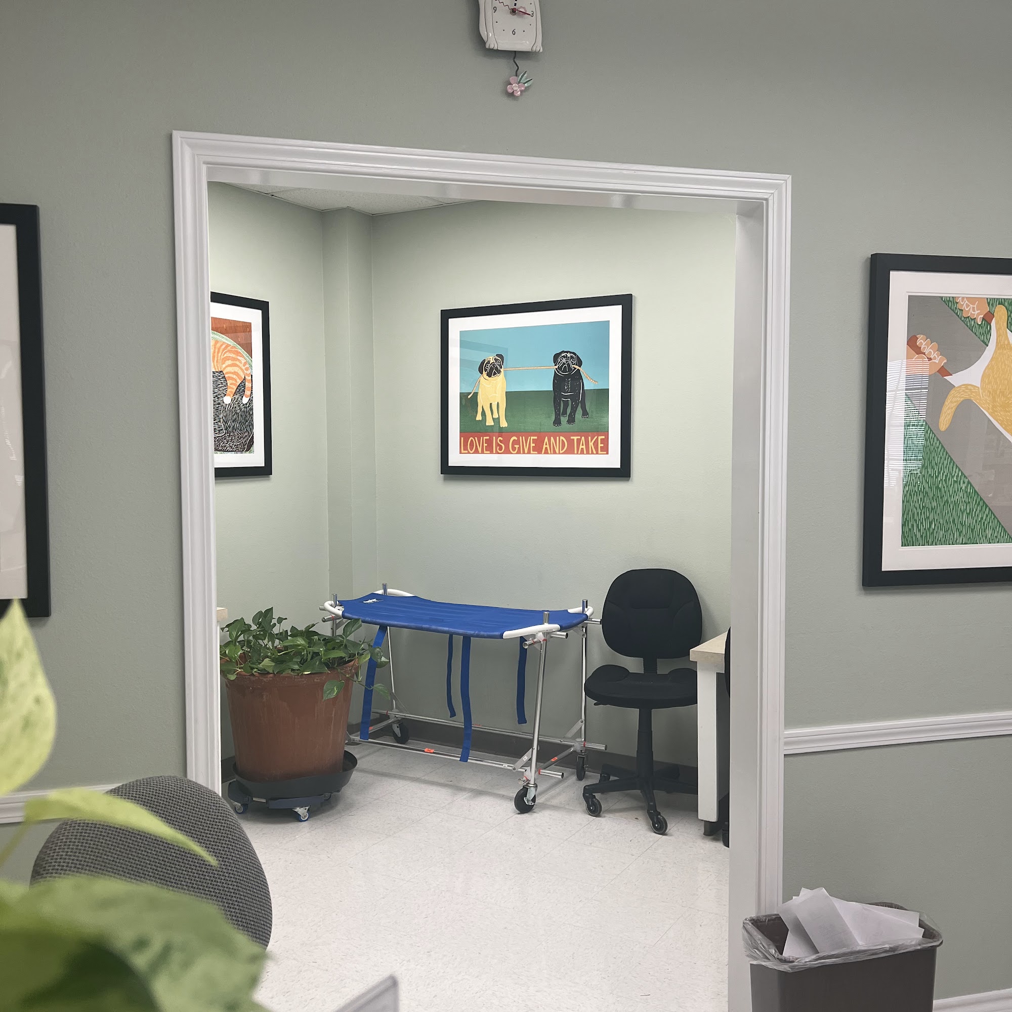 South Park Animal Hospital Shreveport