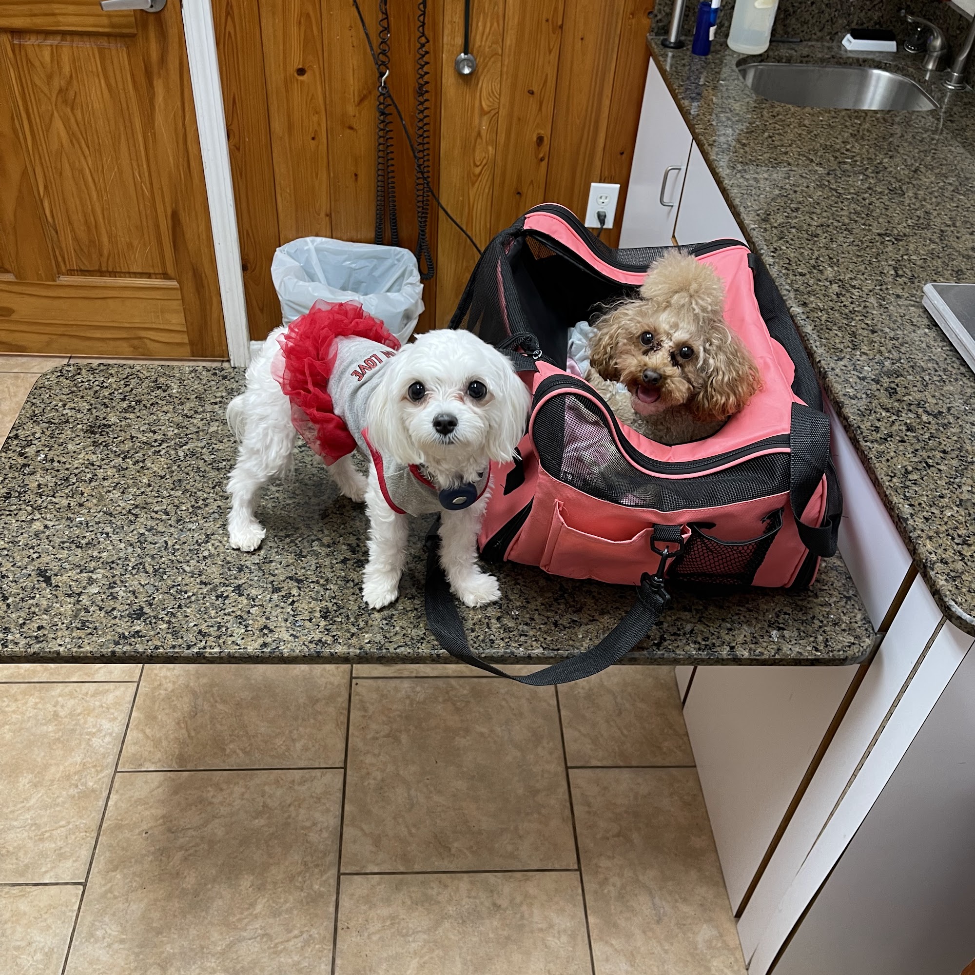 Pontchartrain Animal Hospital Slidell