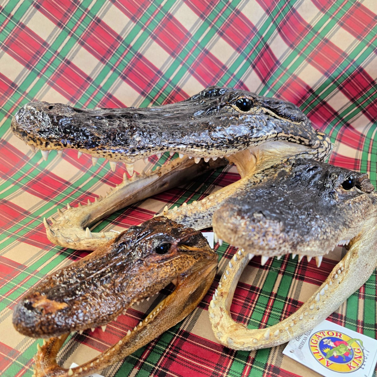 Middendorf's Slidell Slidell