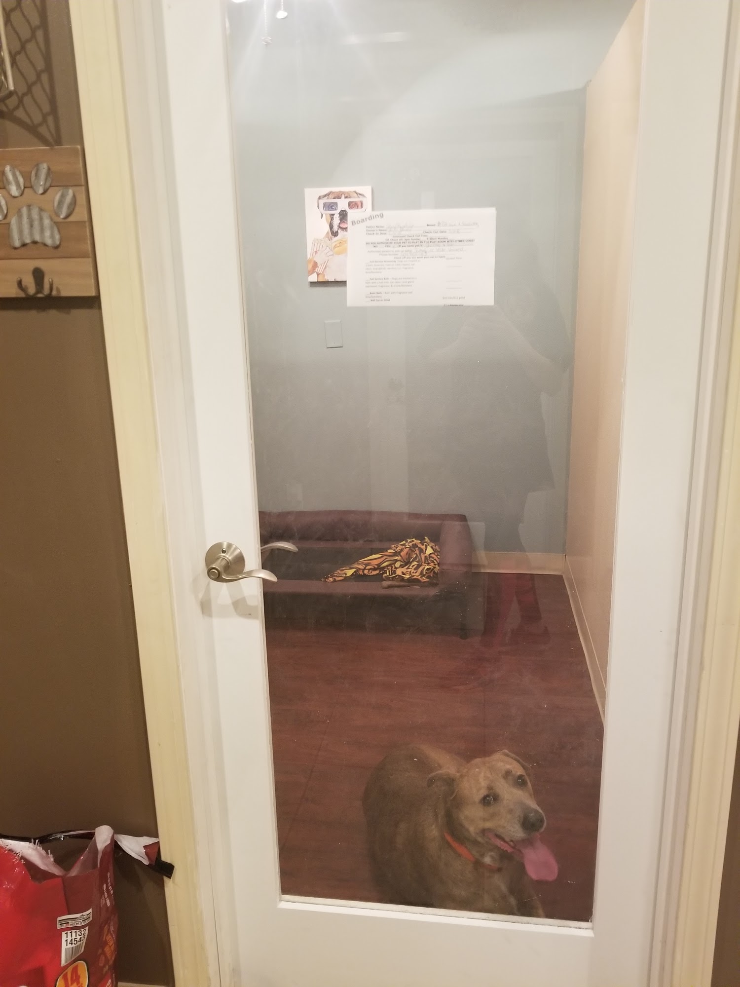 Fur-Babies Playpen Slidell